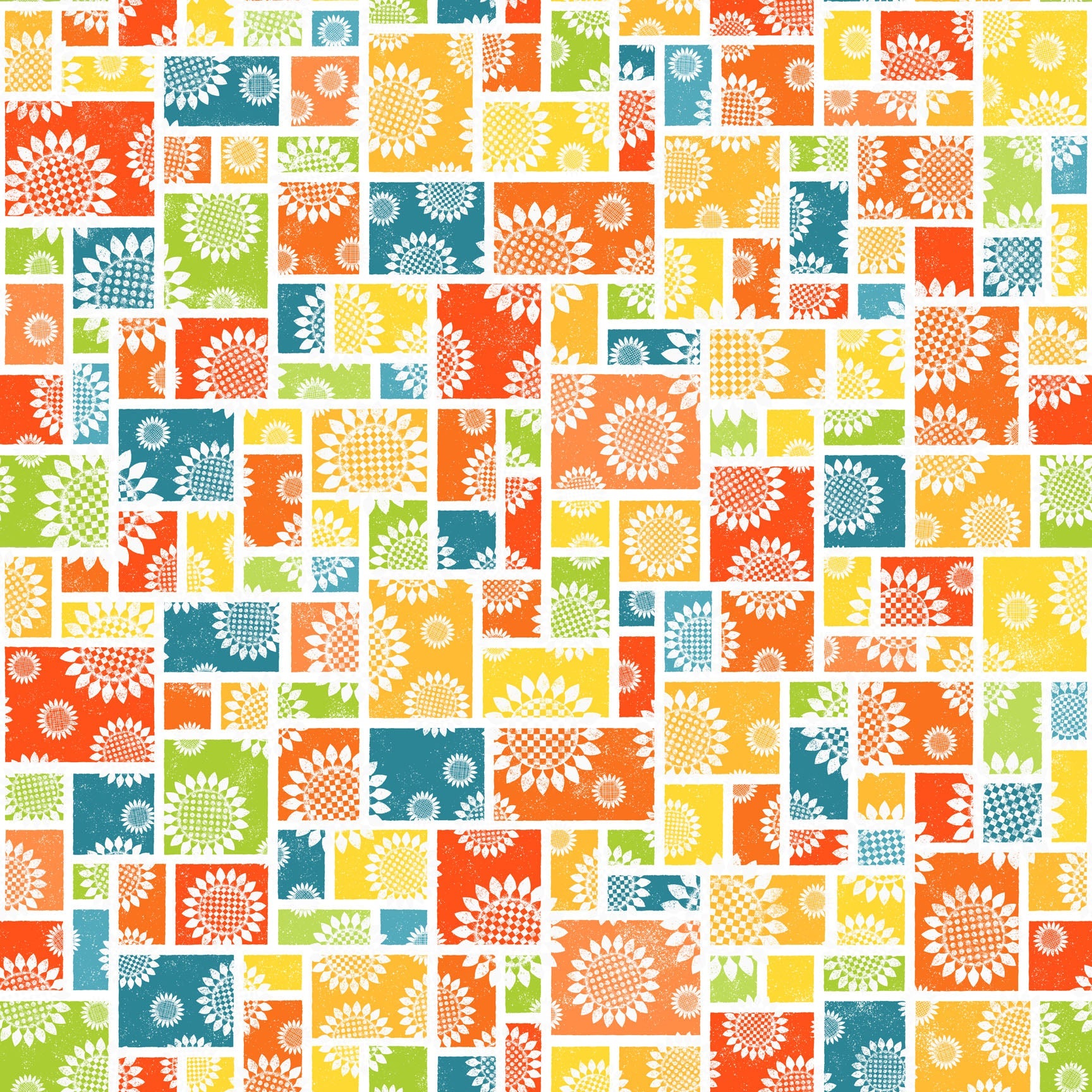 Fall Color | Patrick Lose