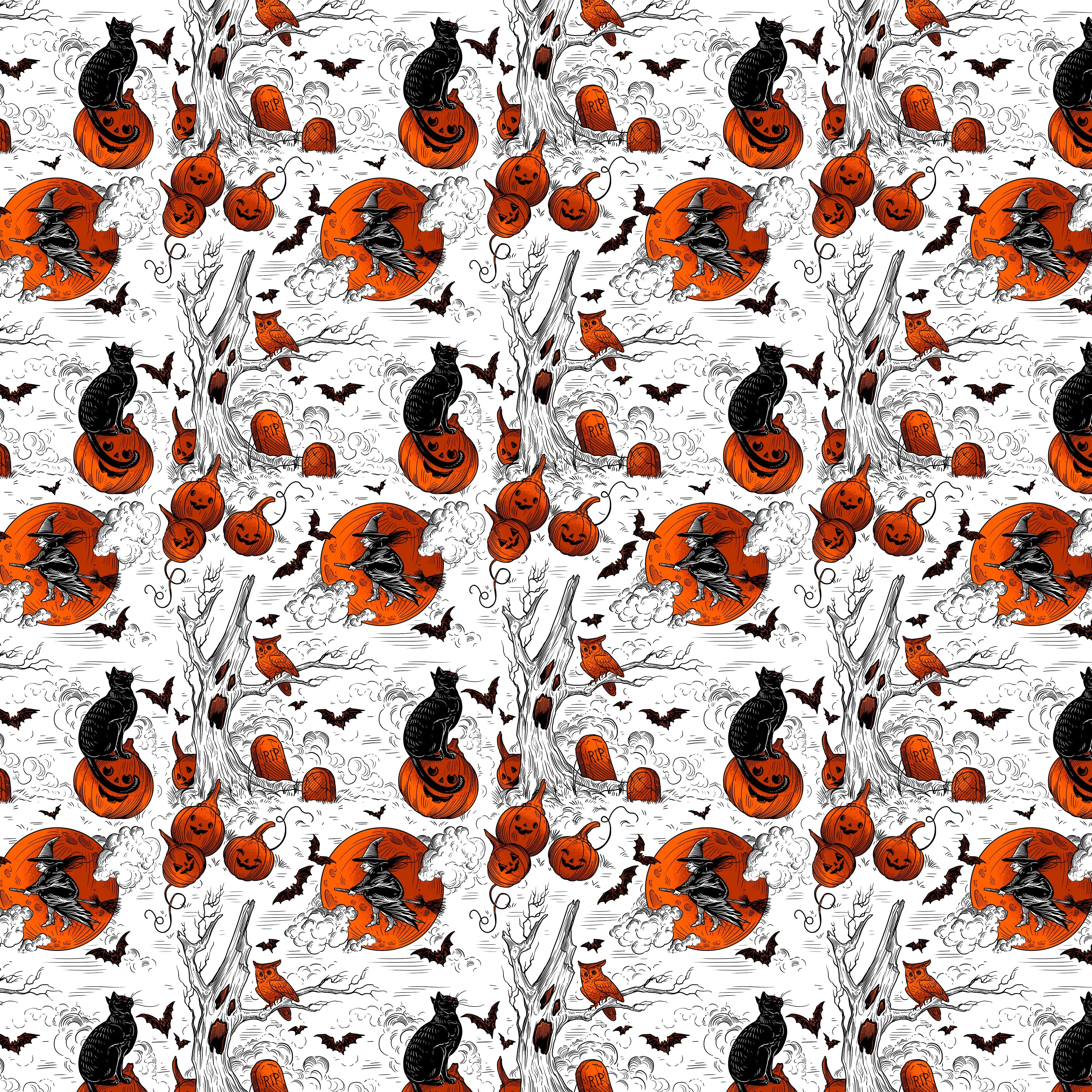 Costumes & Cobwebs | Rachel Hauer