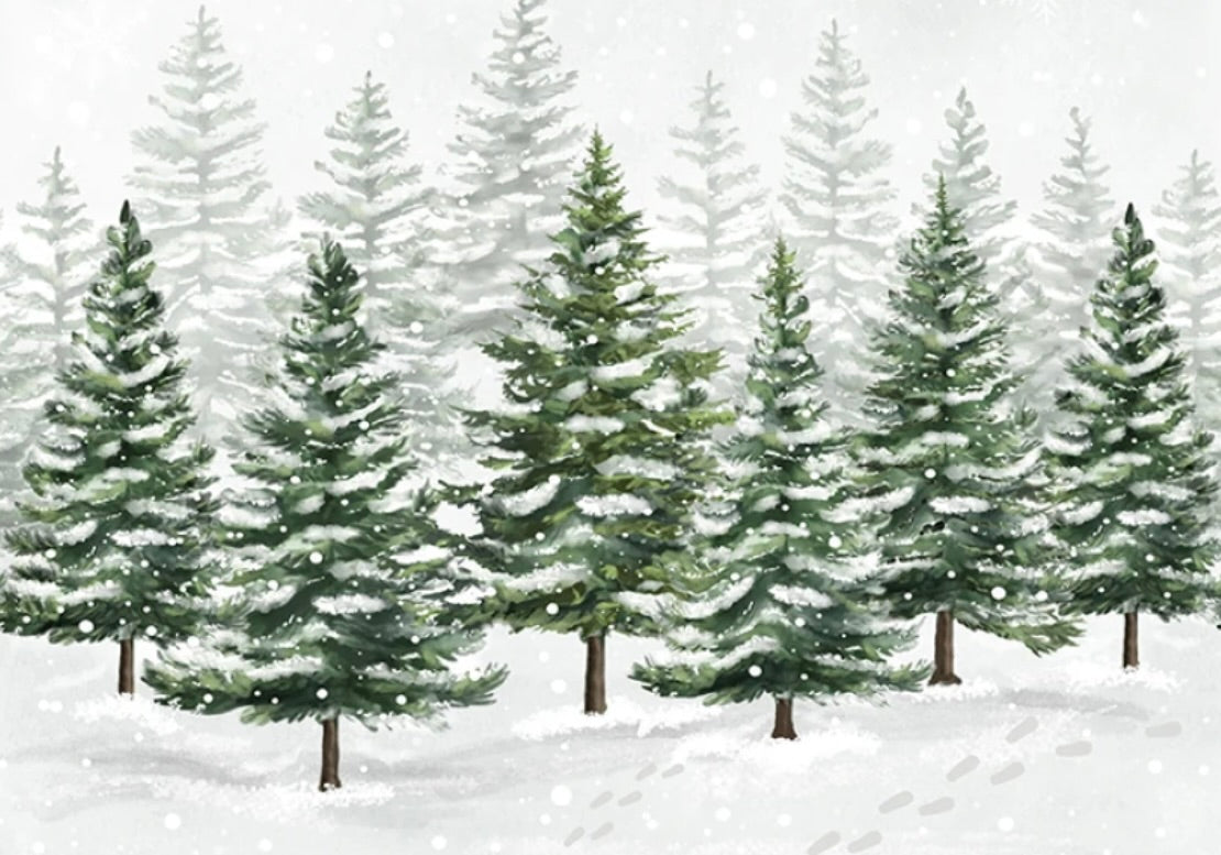 Winter Wonderland | Katie Hennagir Designs