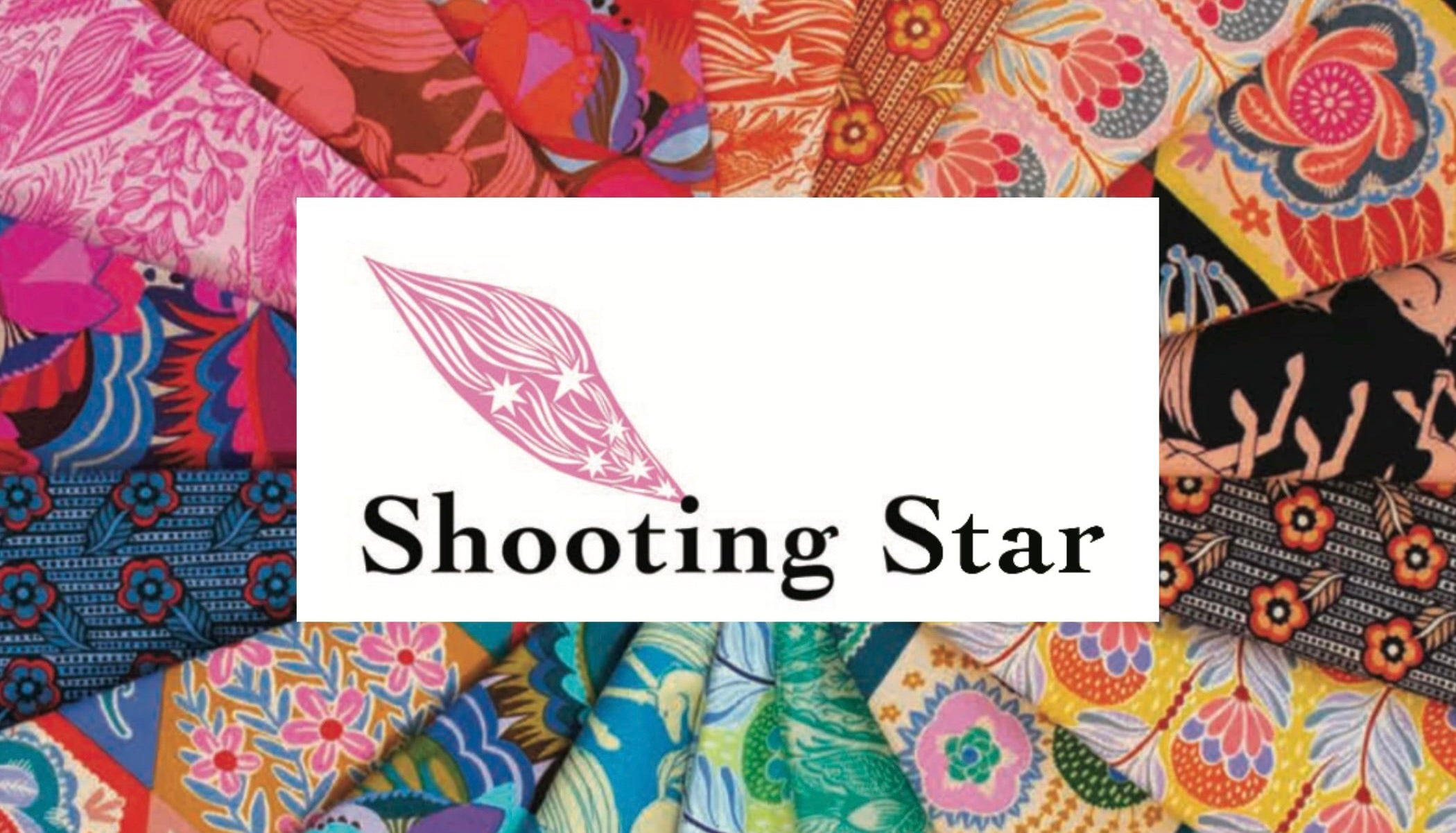 Shooting Star | Anna Maria Parry