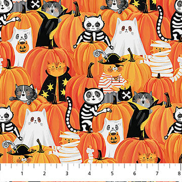 The Boo Crew | Peek Pumpkins Orange Multi by Northcott Studio for Northcott Fabrics | 28202-54