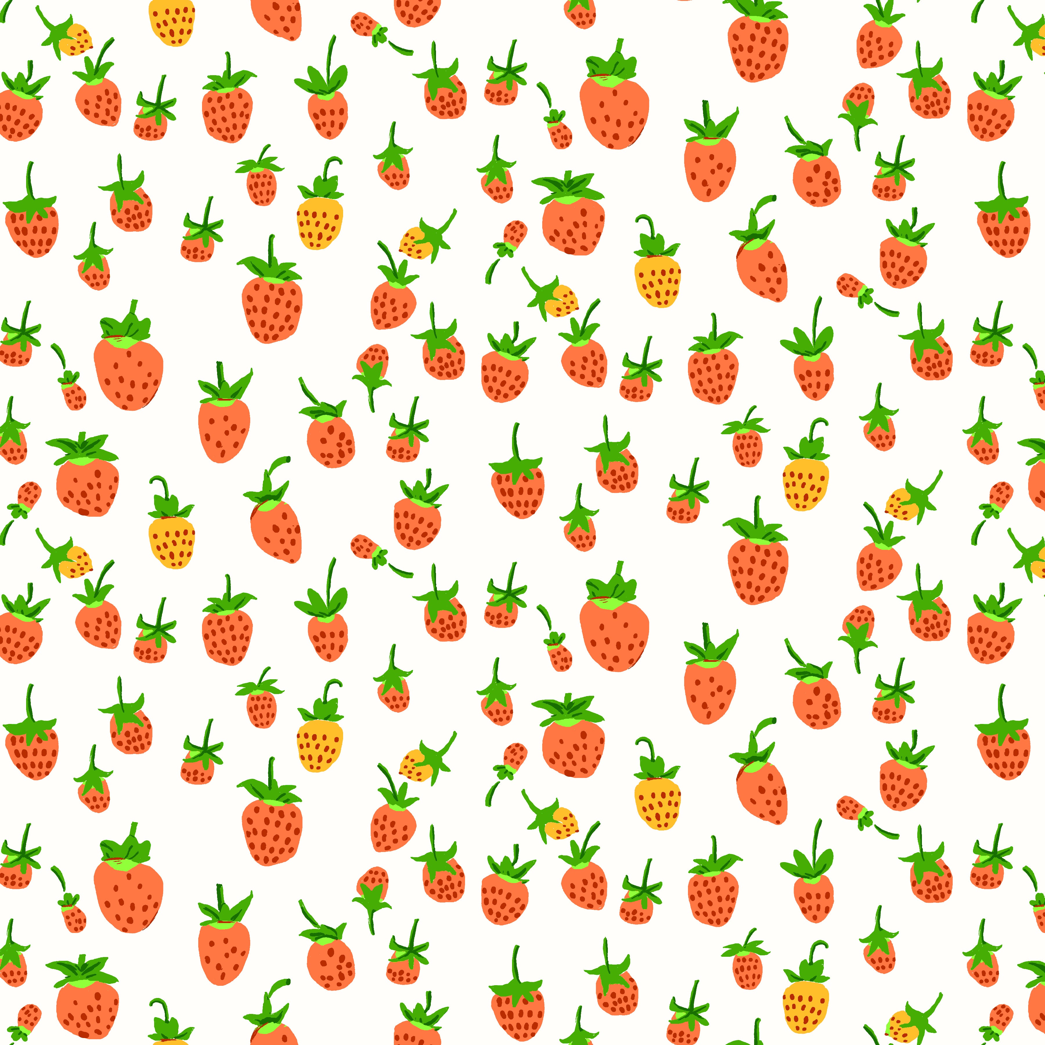 Studio Edit | Strawberries - White by Heather Ross for Windham Fabrics | 37024D-3