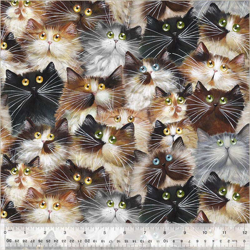 Cat Pack | Fur - 108" Quilt Back by Kim Haskins for Windham Fabrics | 54281W-1DES