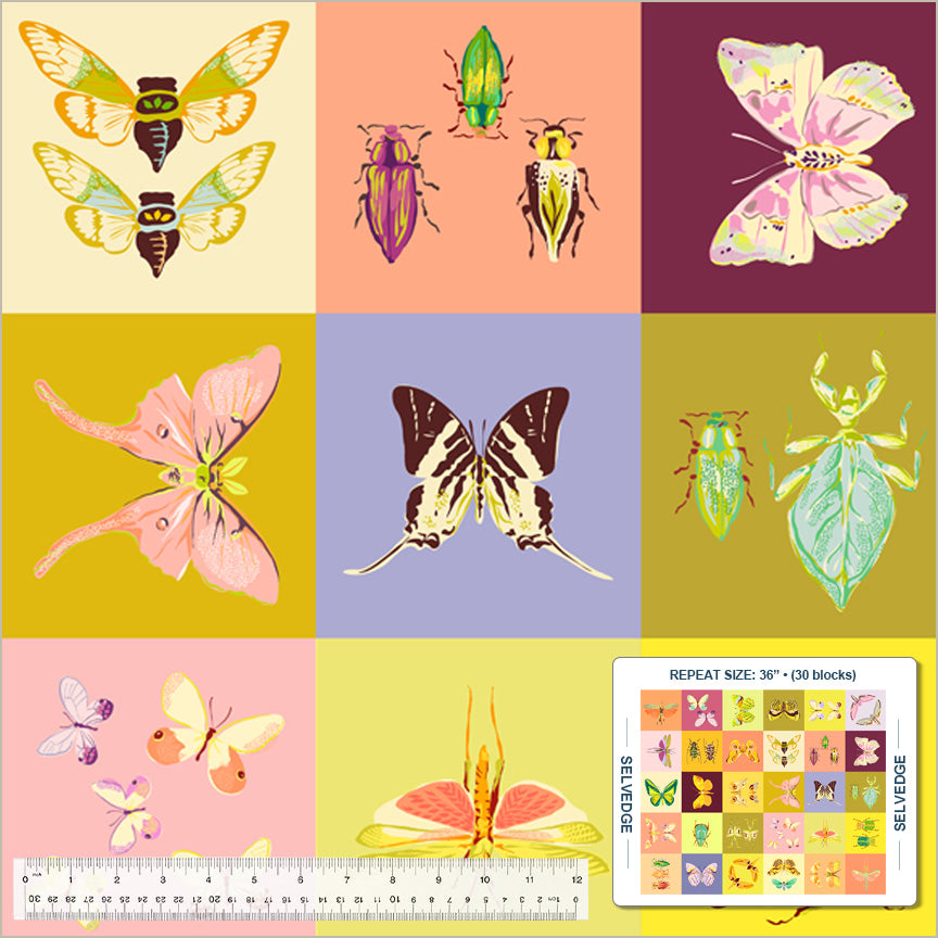 Insectarium | Square Dance Multi by Tamara Kate for Windham Fabrics | 54651DP-X