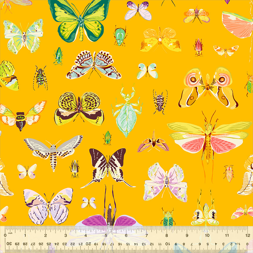 Insectarium | On Display Amber by Tamara Kate for Windham Fabrics | 54652-1