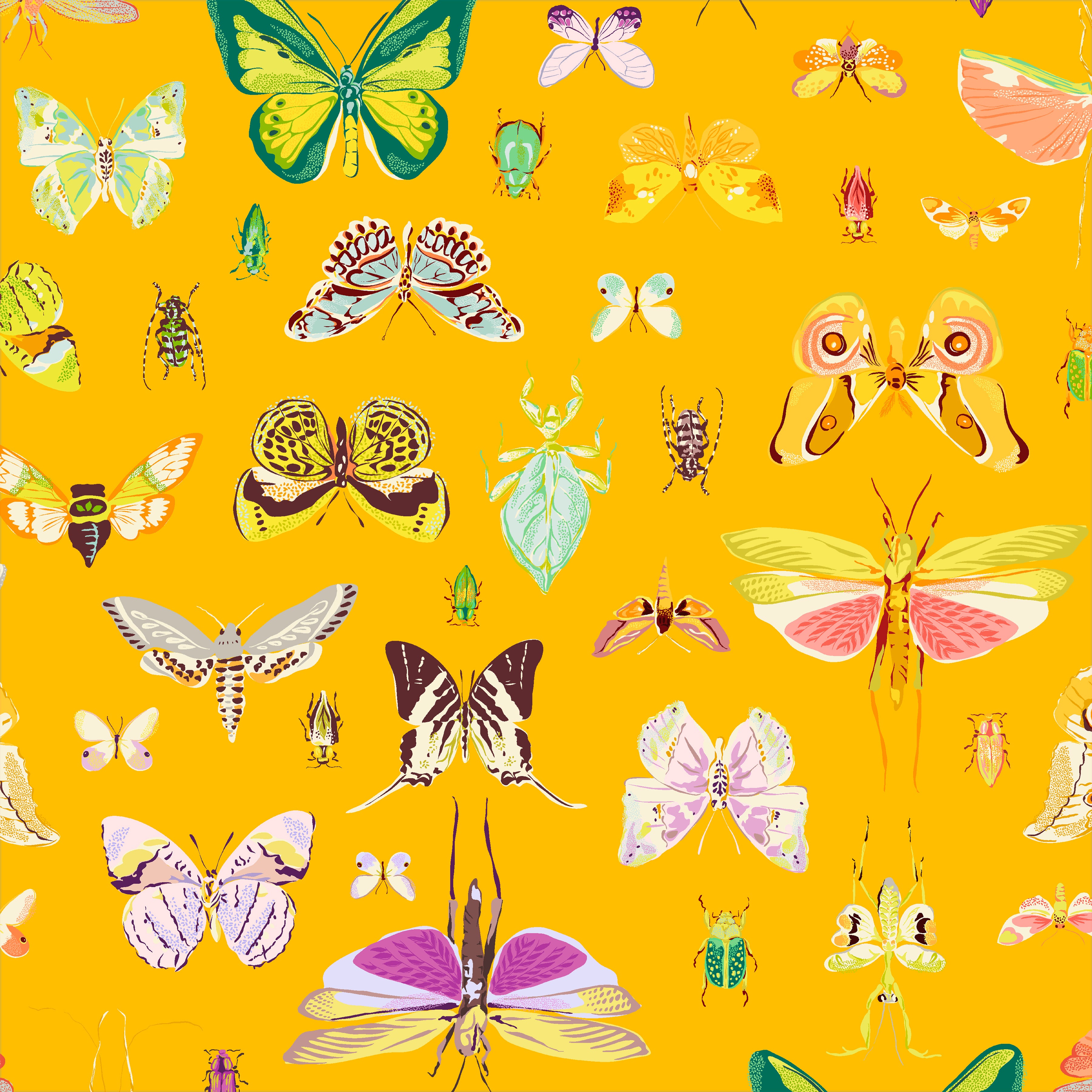 Insectarium | On Display Amber by Tamara Kate for Windham Fabrics | 54652-1