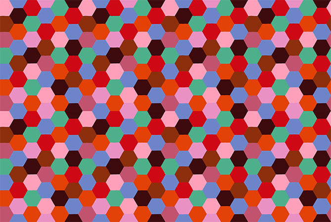 Piecework | Hexagons - Rustic by Anna Maria for Anna Maria Textiles | AMT111-36V