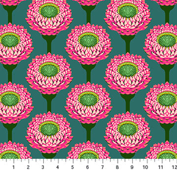 Iconic | Strawflower - Bursting by Anna Maria for Anna Maria Textiles | AMT123-28L