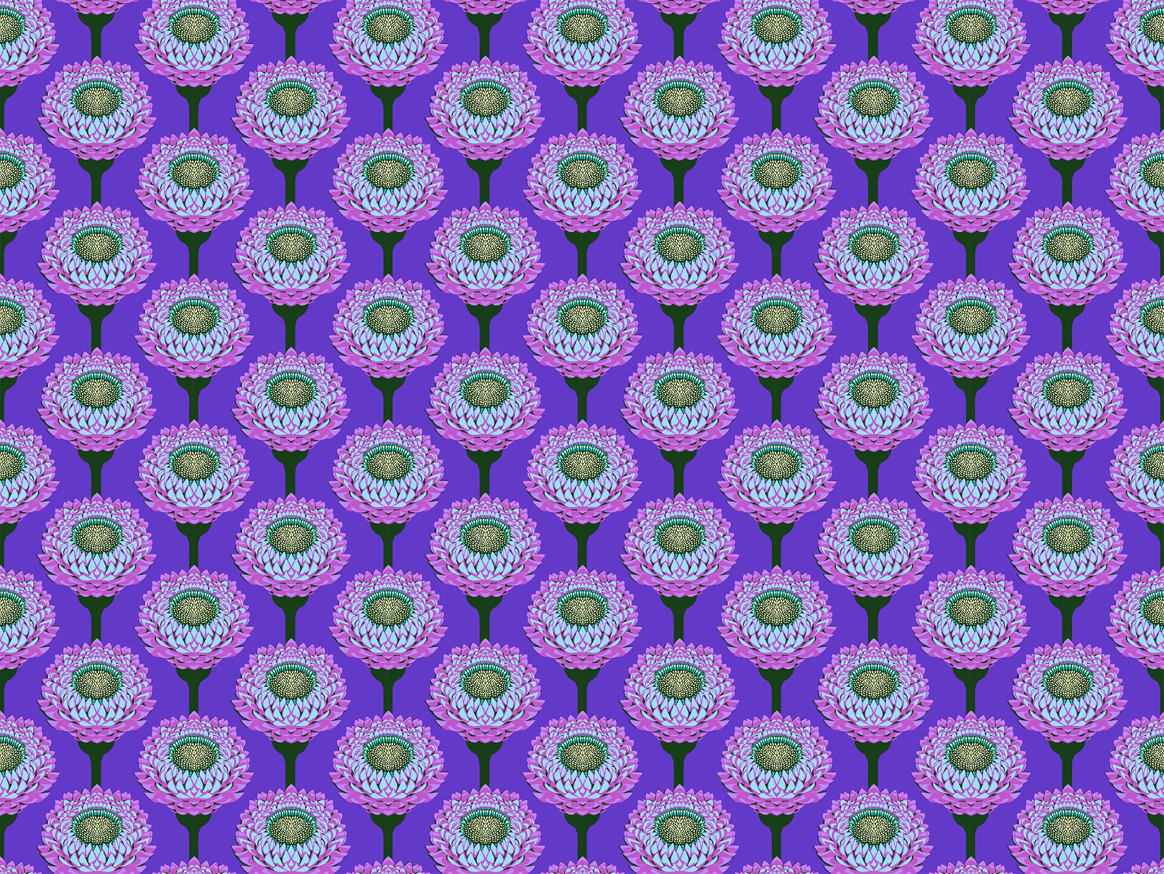 Iconic | Strawflower - Periwinkle by Anna Maria for Anna Maria Textiles | AMT123-63C