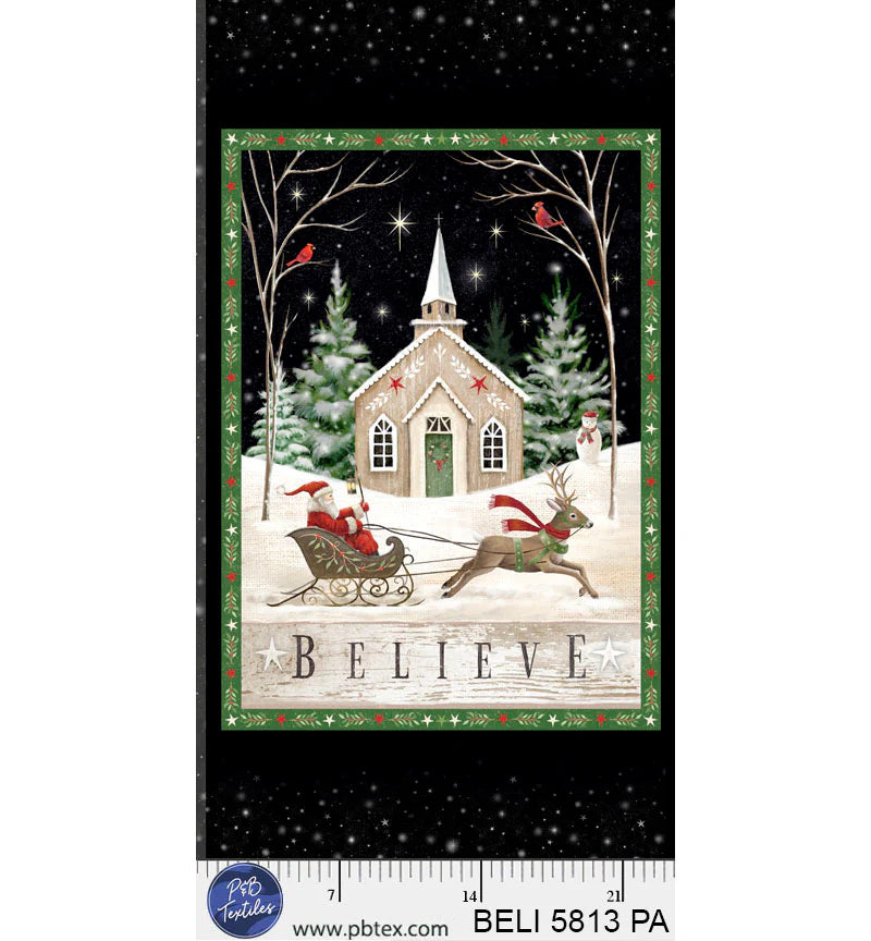 Believe | 24" Panel by Sarah Summers for P&B Textiles | BELI5813-PA