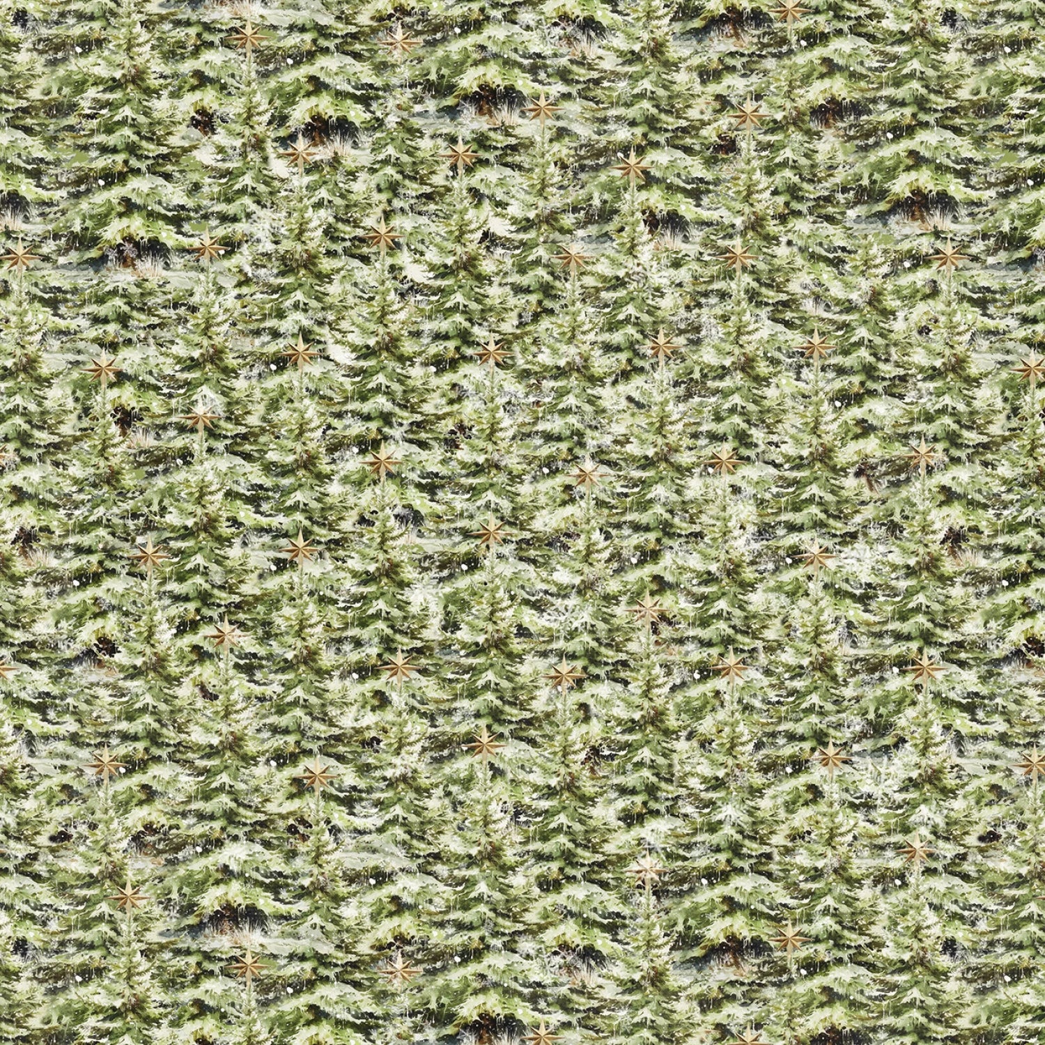 Christmas Magic | Christmas Trees Green by Frank Garcia for Blank Quilting | 2026-66