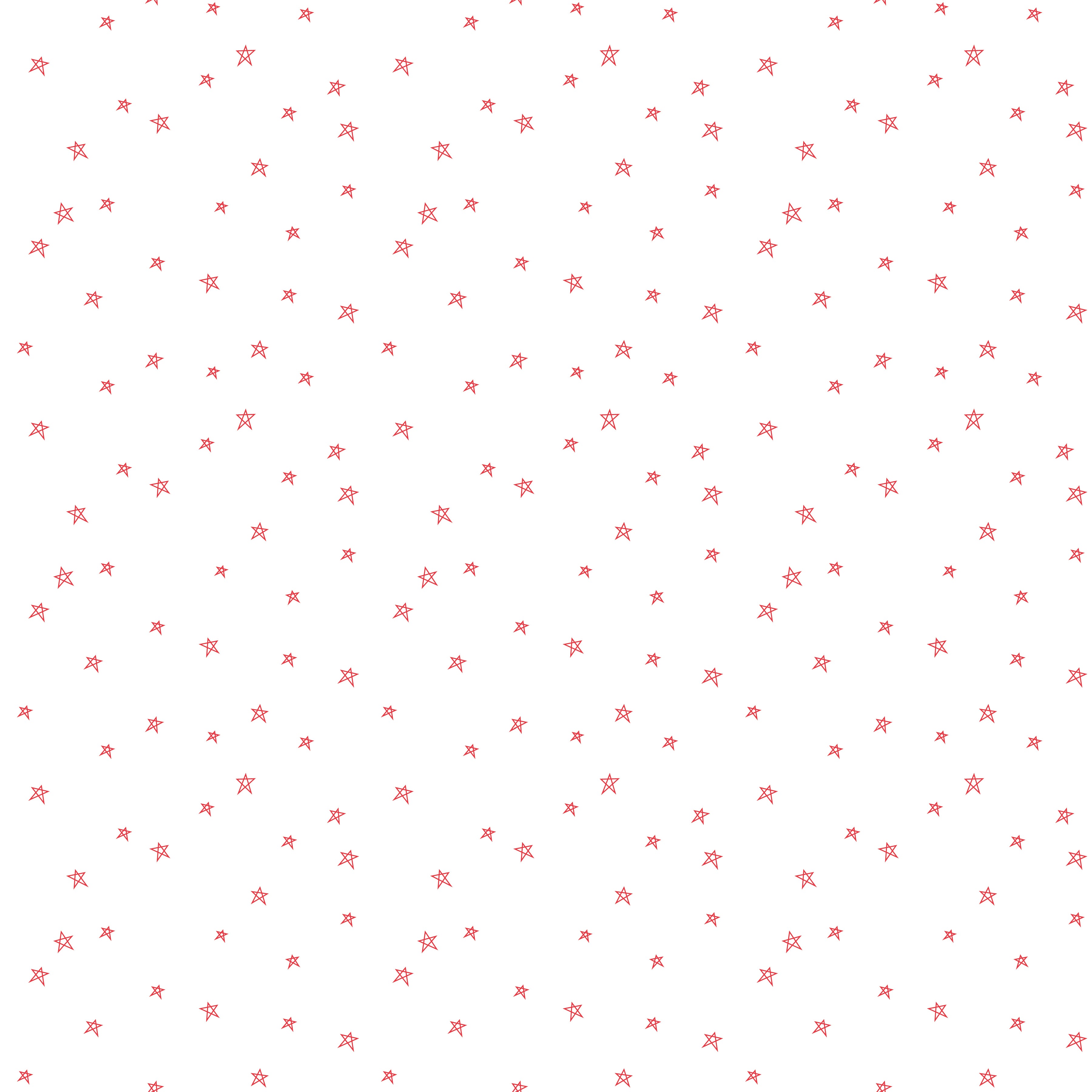 Bee Plaids | Farmhouse Star Cayenne by Lori Holt for Riley Blake | C12039-CAYENNE