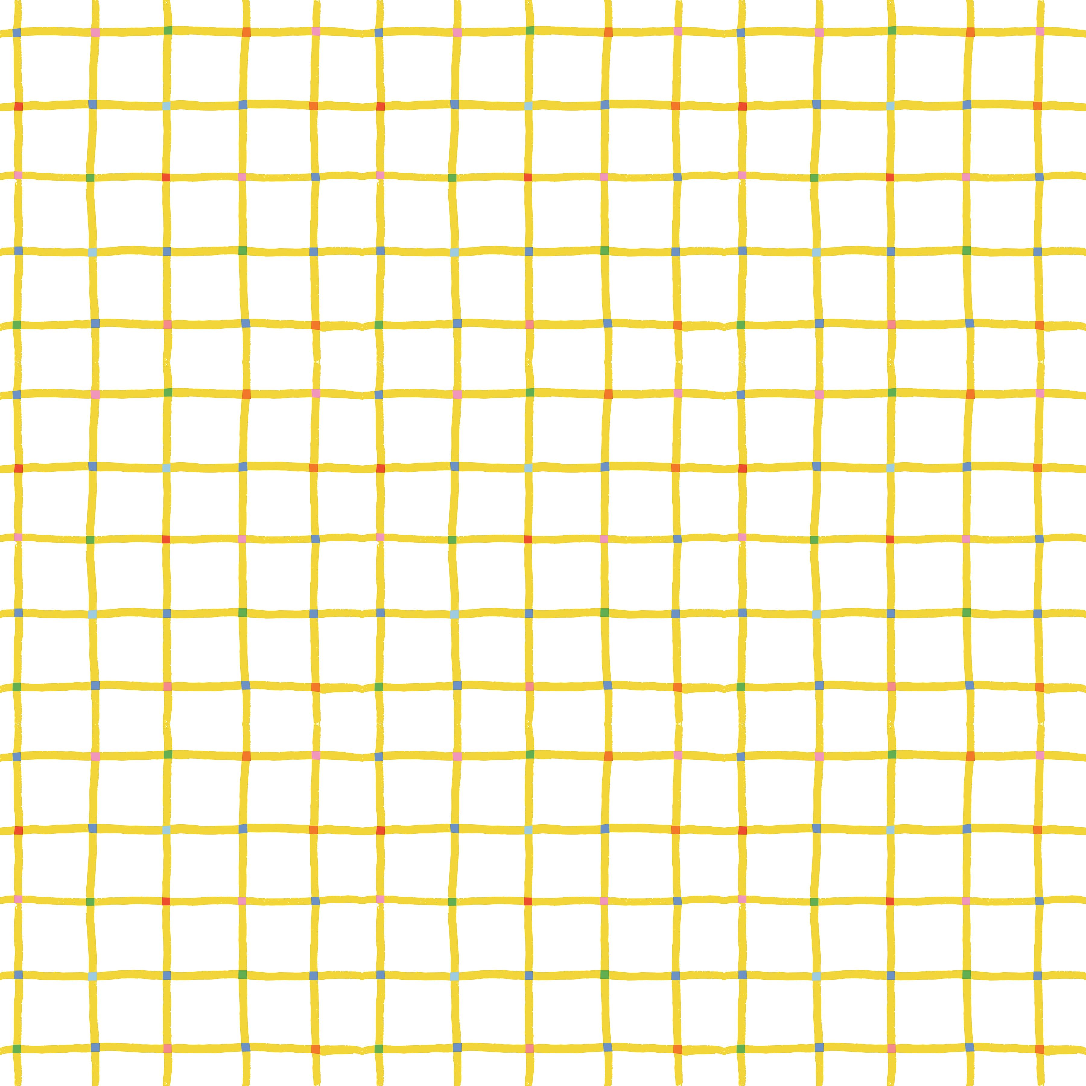 100 Aker Woods | Picnic Plaid White by Jill Howarth for Riley Blake | C15176-WHITE