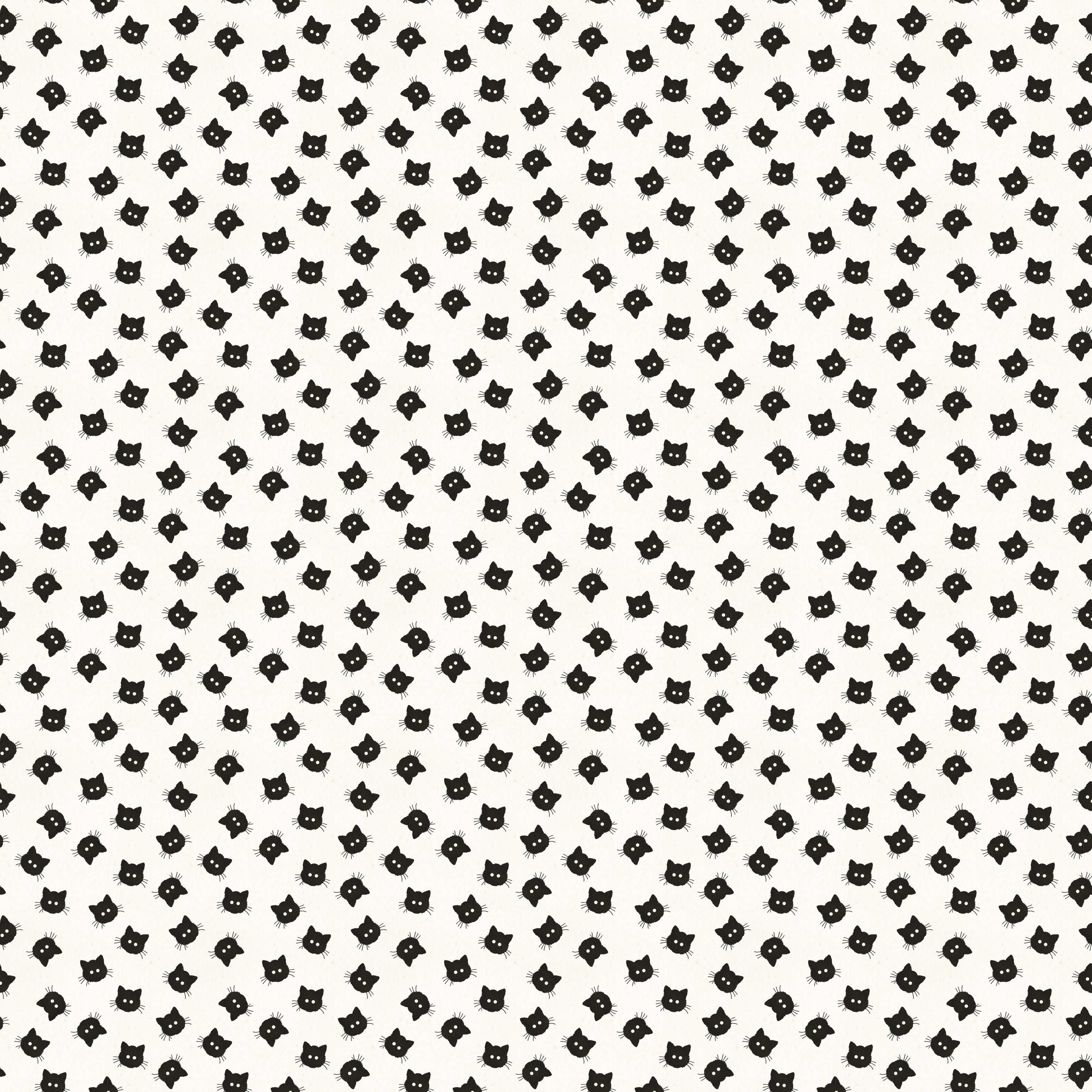 Costume Maker's Act II | Scaredy Cat Buttons White by J. Wecker Frisch for Riley Blake | C16008-WHITE