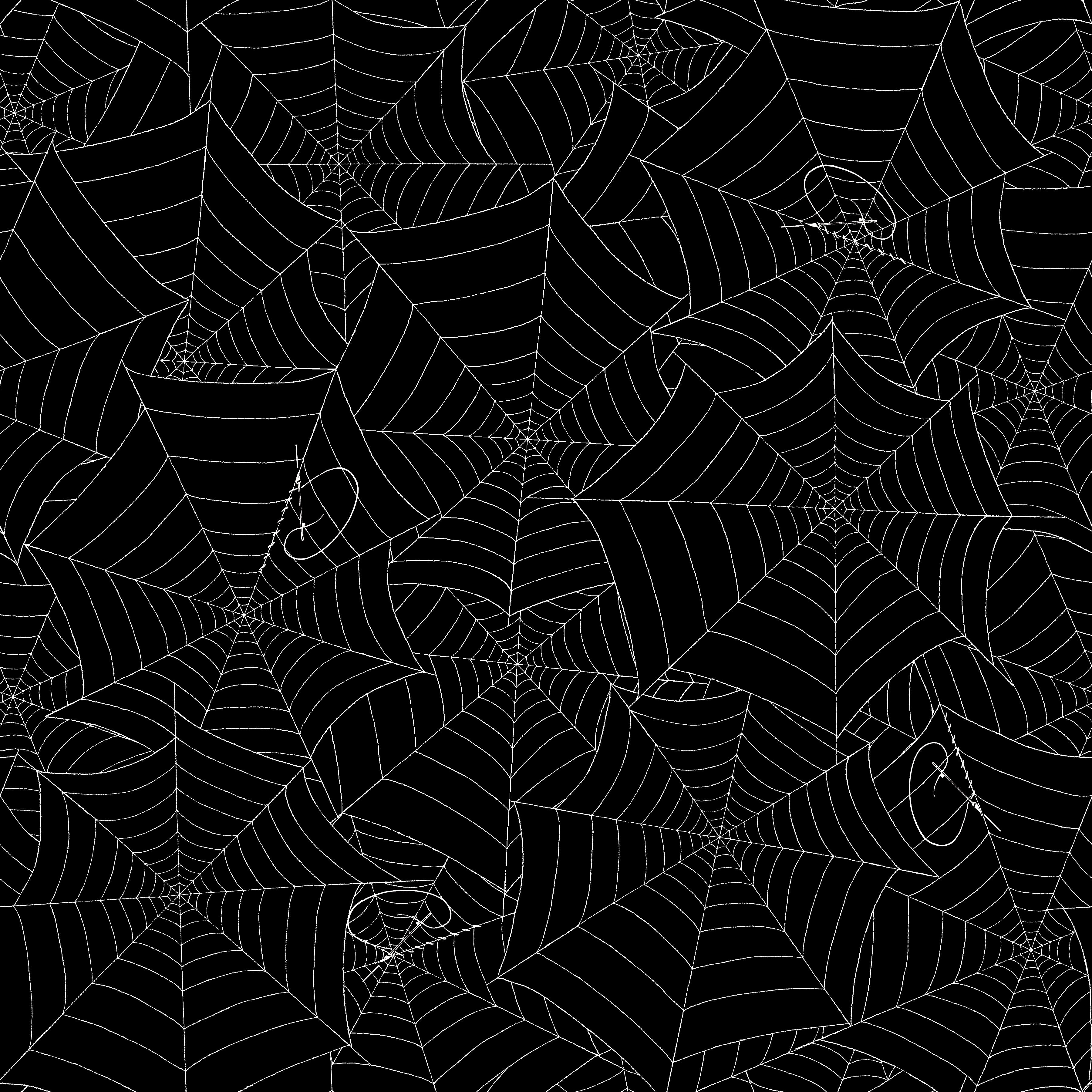 Costume Maker's Act II | Web Black by J. Wecker Frisch for Riley Blake | C16011-BLACK