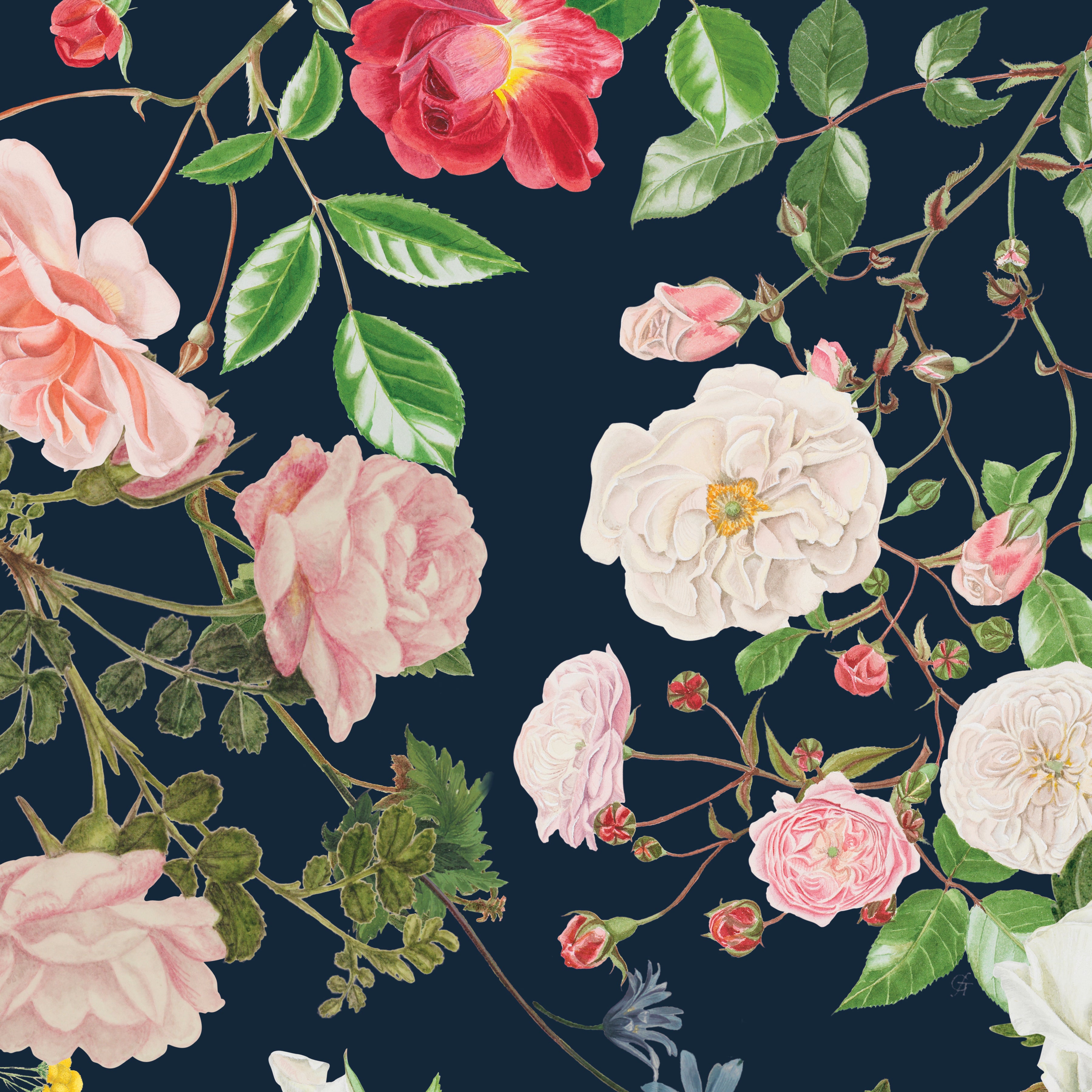 Floral Gardens | Fat Quarter Bundle by Royal Horticultural Society for Riley Blake | 19 pcs