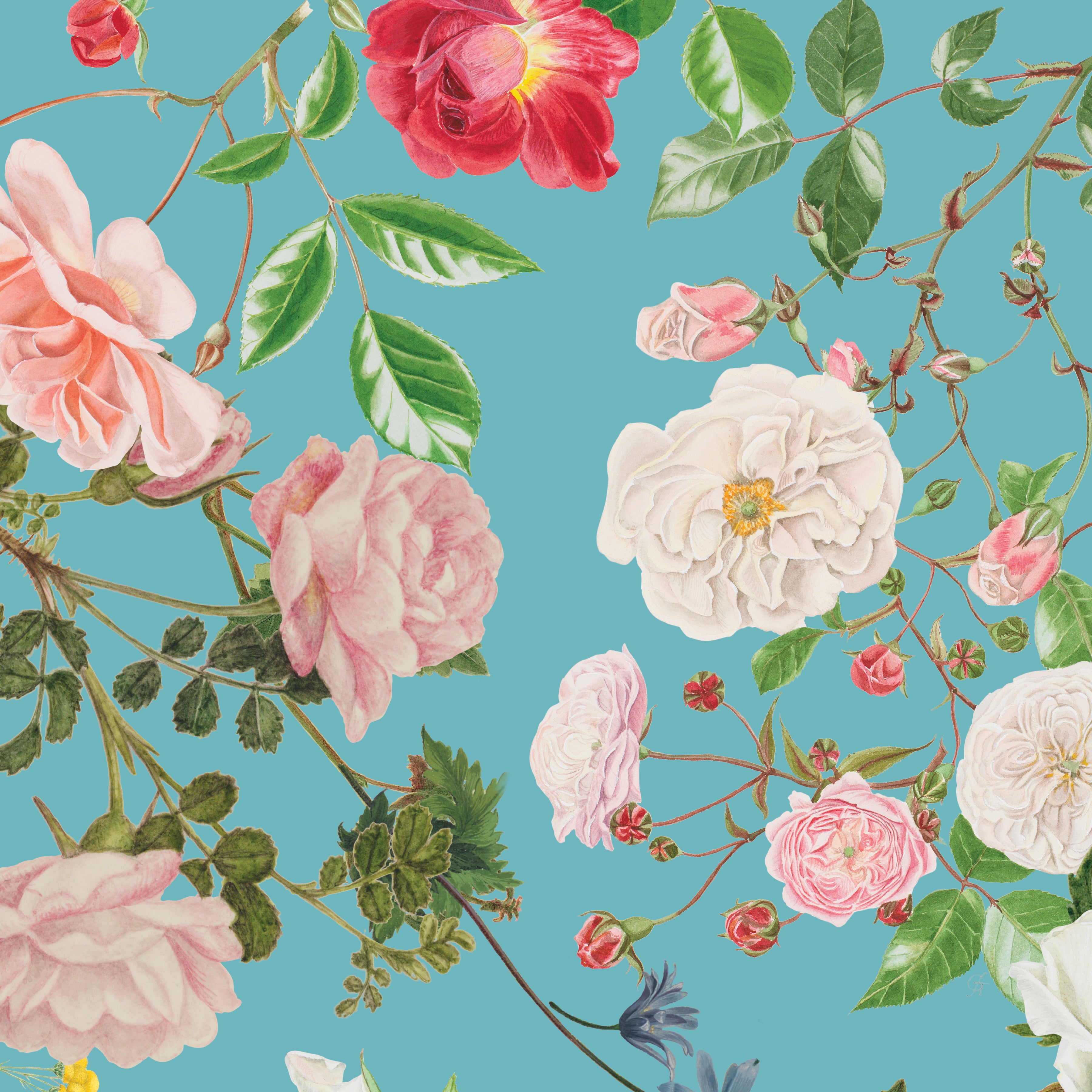 Floral Gardens | Fat Quarter Bundle by Royal Horticultural Society for Riley Blake | 19 pcs
