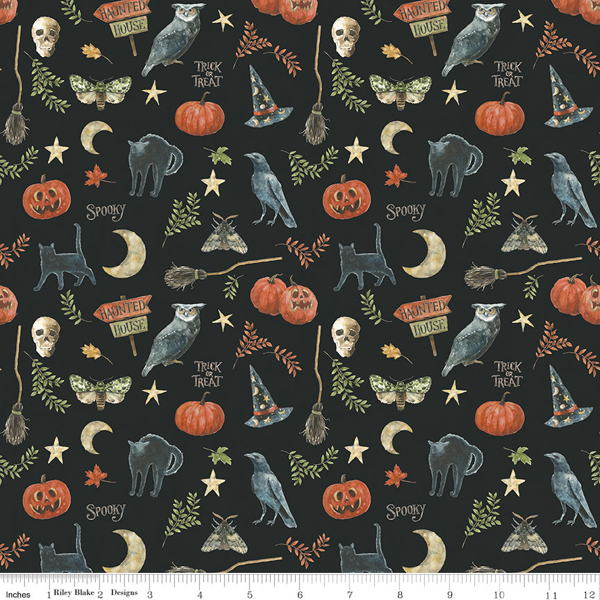 Trick or Treat | Spooky Black by Lisa Audit for Riley Blake Designs | CD15962-BLACK