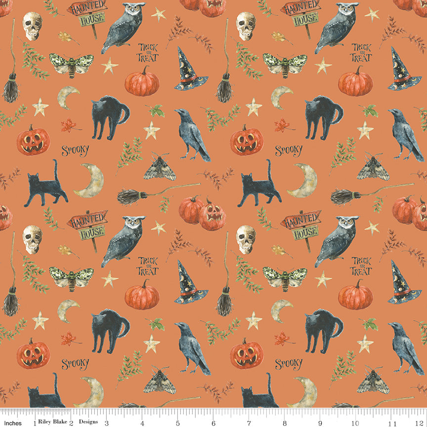 Trick or Treat | Spooky Orange by Lisa Audit for Riley Blake Designs | CD15962-ORANGE