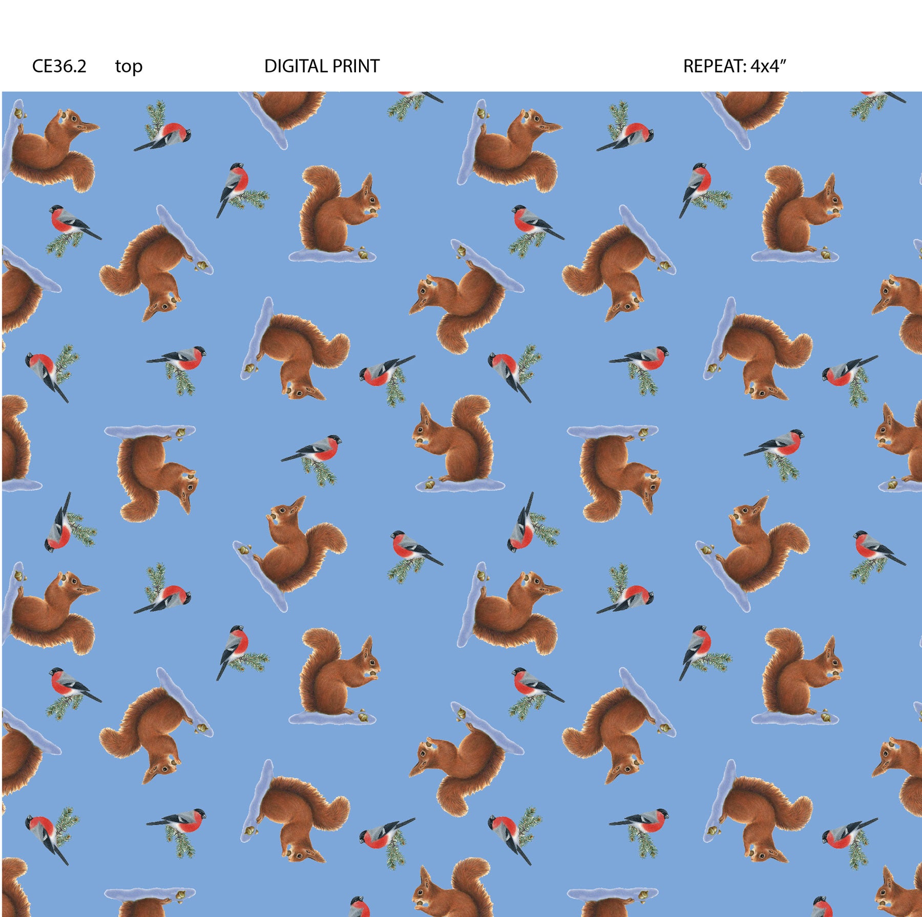 Tomtens Forest Friends | Squirrels on Light Blue by Eva Melhuish for Lewis & Irene | CE36.2 (Copy)