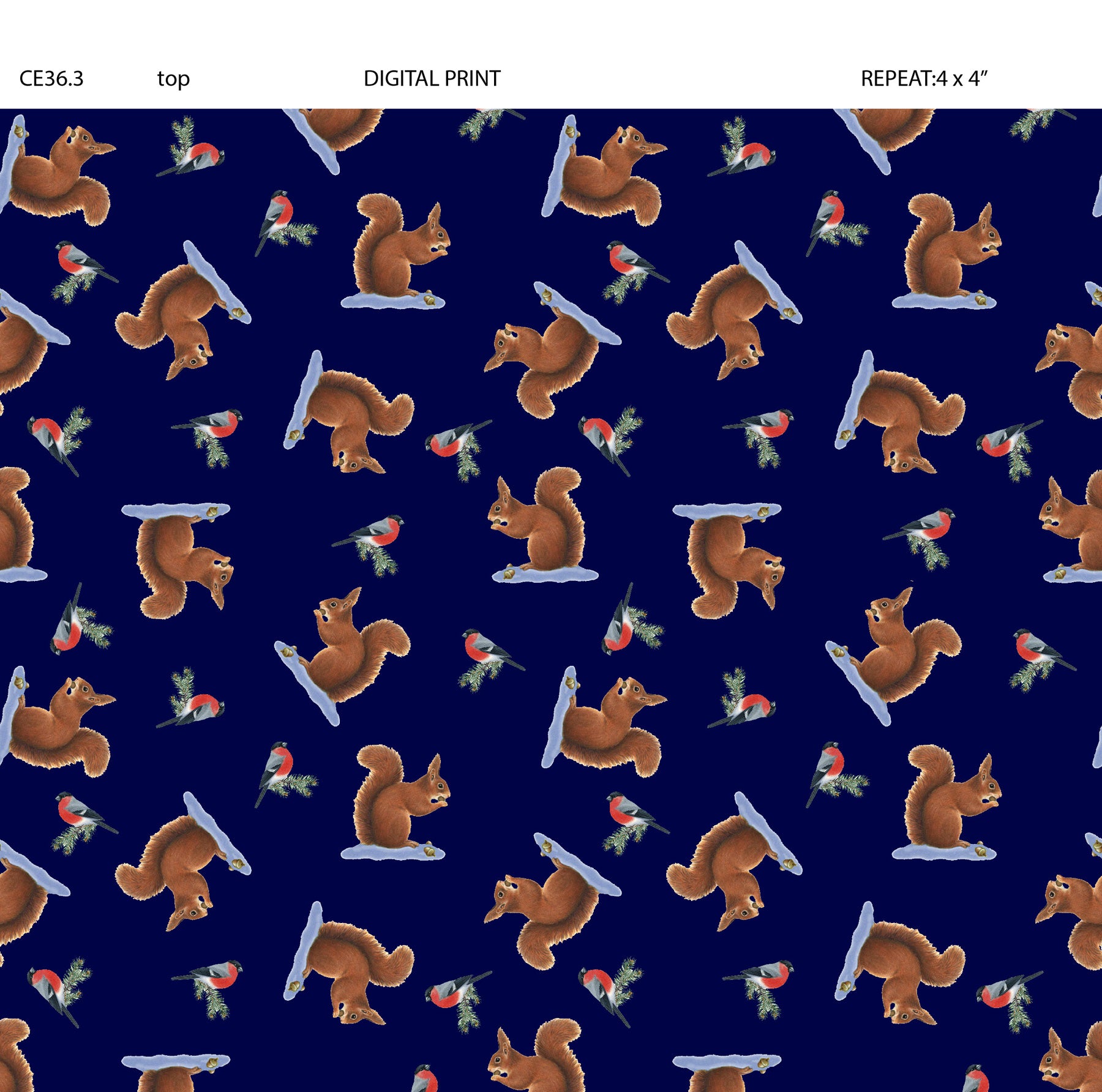 Tomtens Forest Friends | Squirrels on Dark Navy by Eva Melhuish for Lewis & Irene | CE36.3