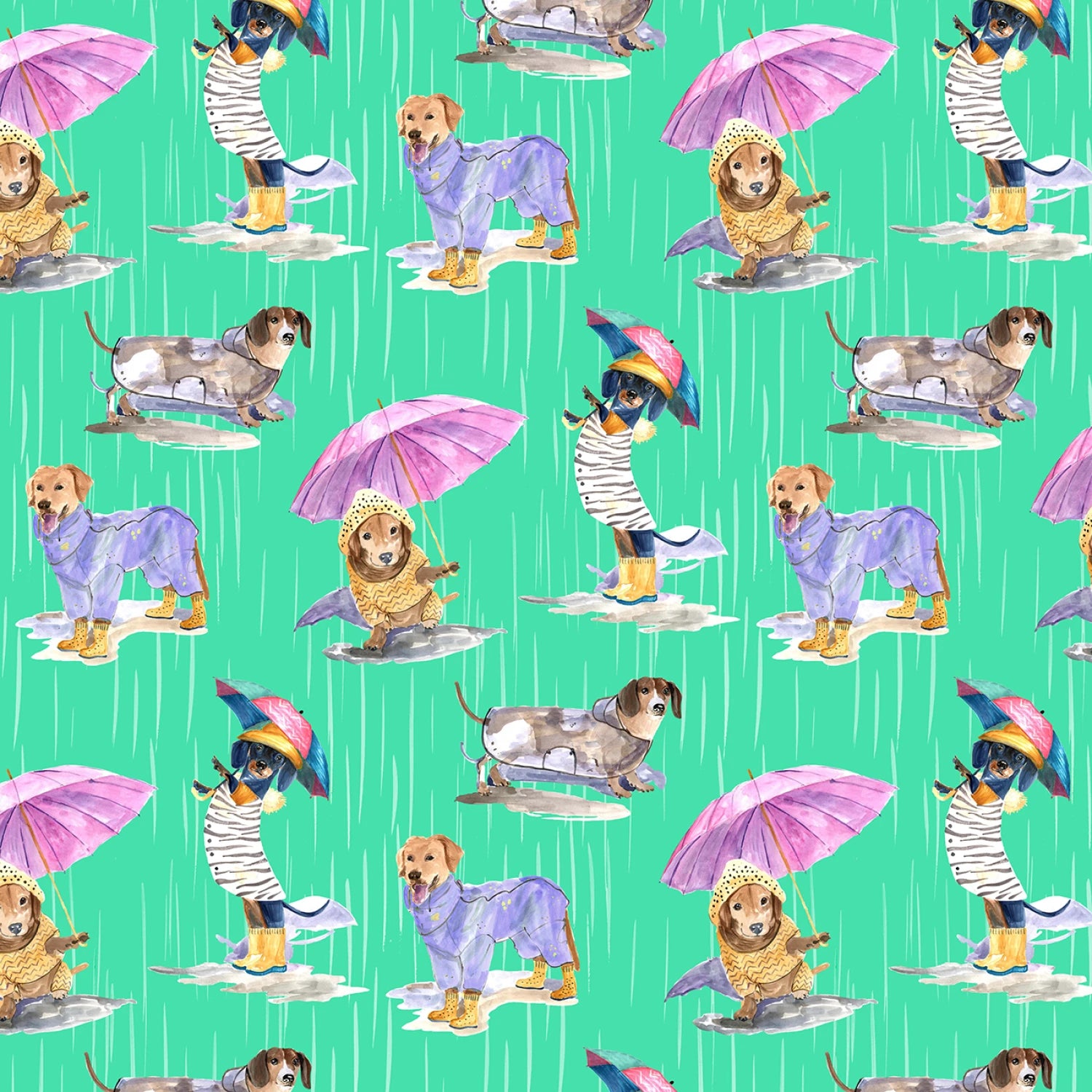 Paws in the Rain | Dogs in the Rain - Green by Michael Miller Fabrics | DCX12400-GREE