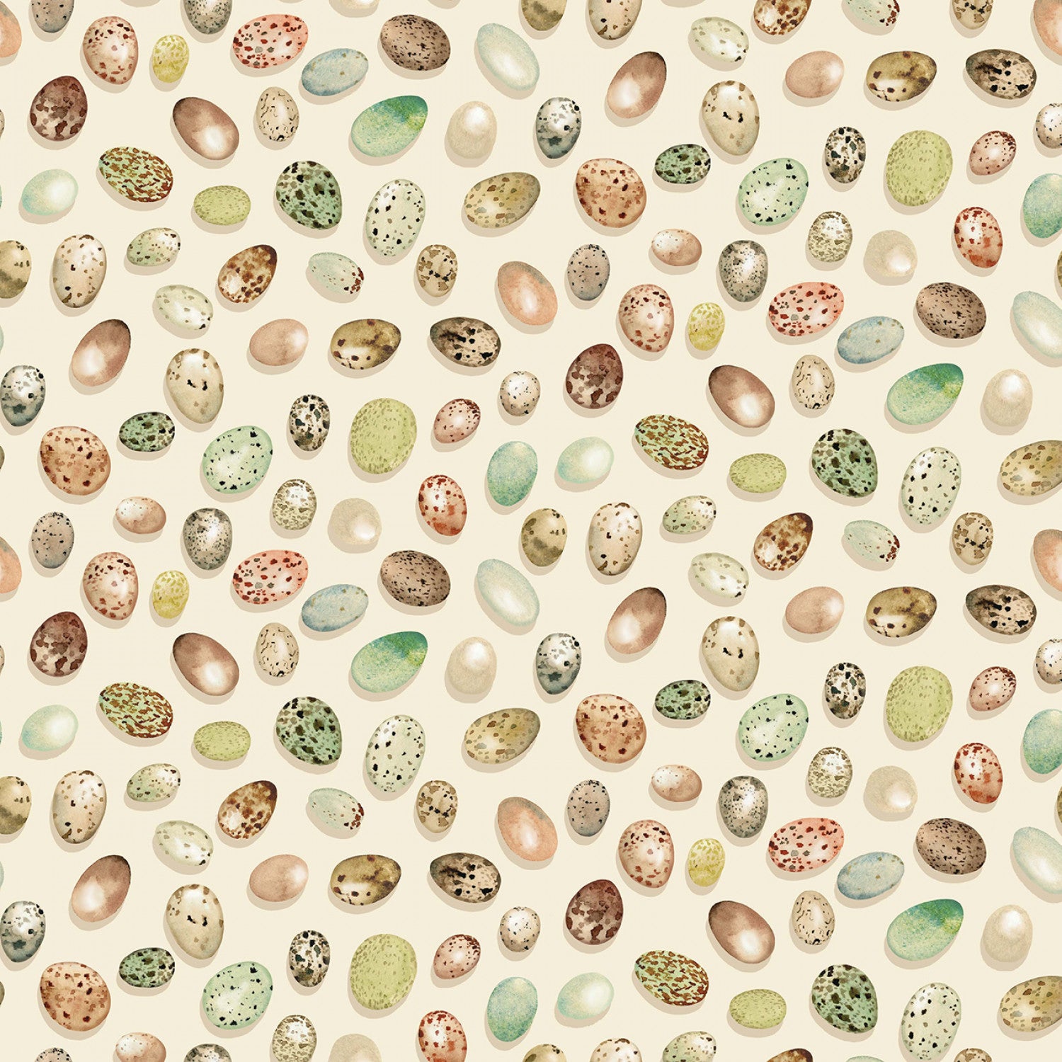 From Little Acorns | Bird Eggs - Cream by Louise Nisbet for Michael Miller Fabrics | DDC12422-CREM