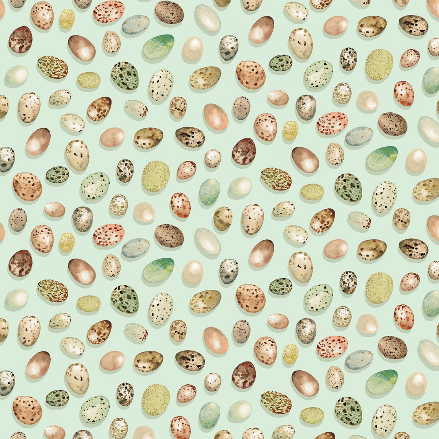From Little Acorns | Bird Eggs - Mist by Louise Nisbet for Michael Miller Fabrics | DDC12422-MIST