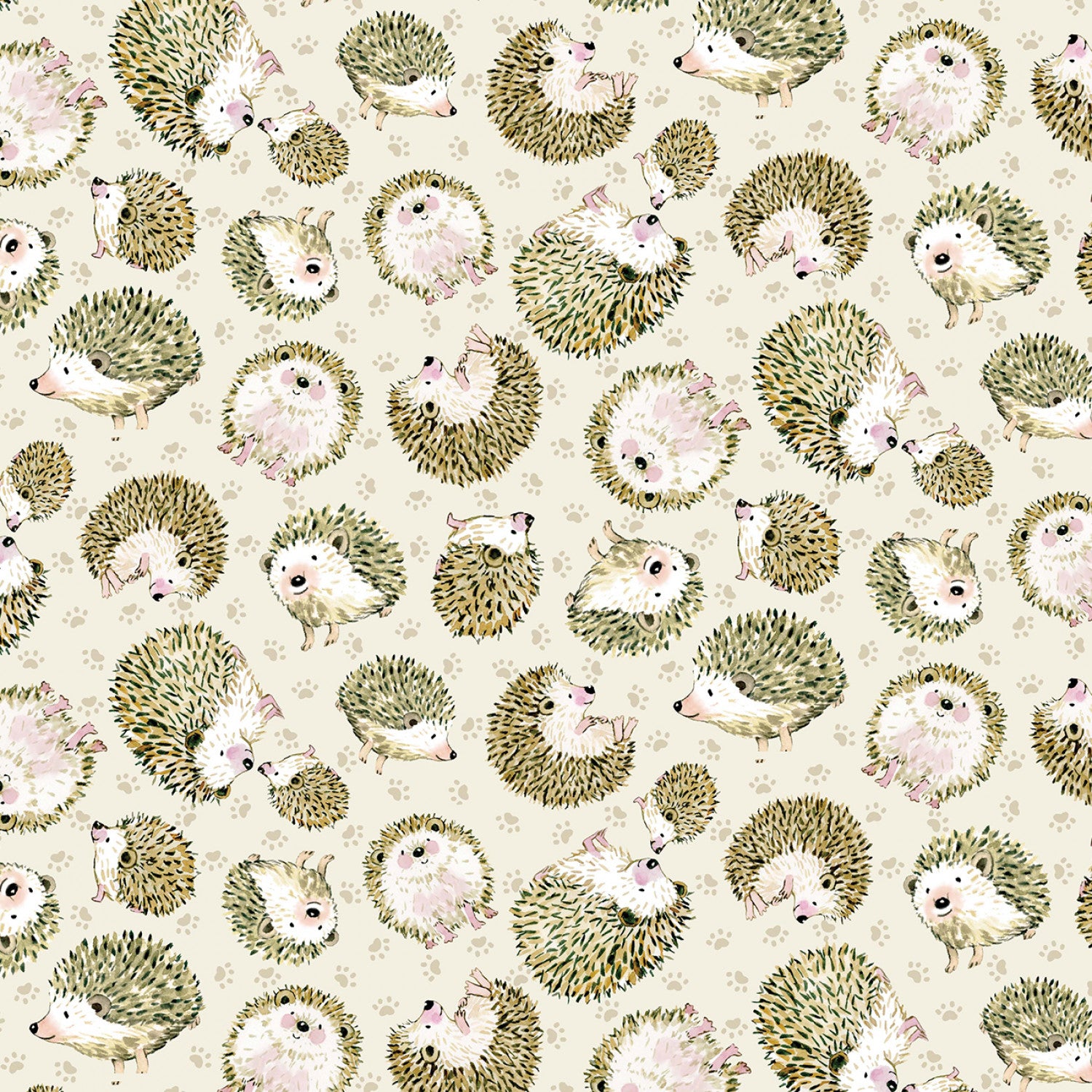 From Little Acorns | Hedgehog - Cream by Louise Nisbet for Michael Miller Fabrics | DDC12423-CREM