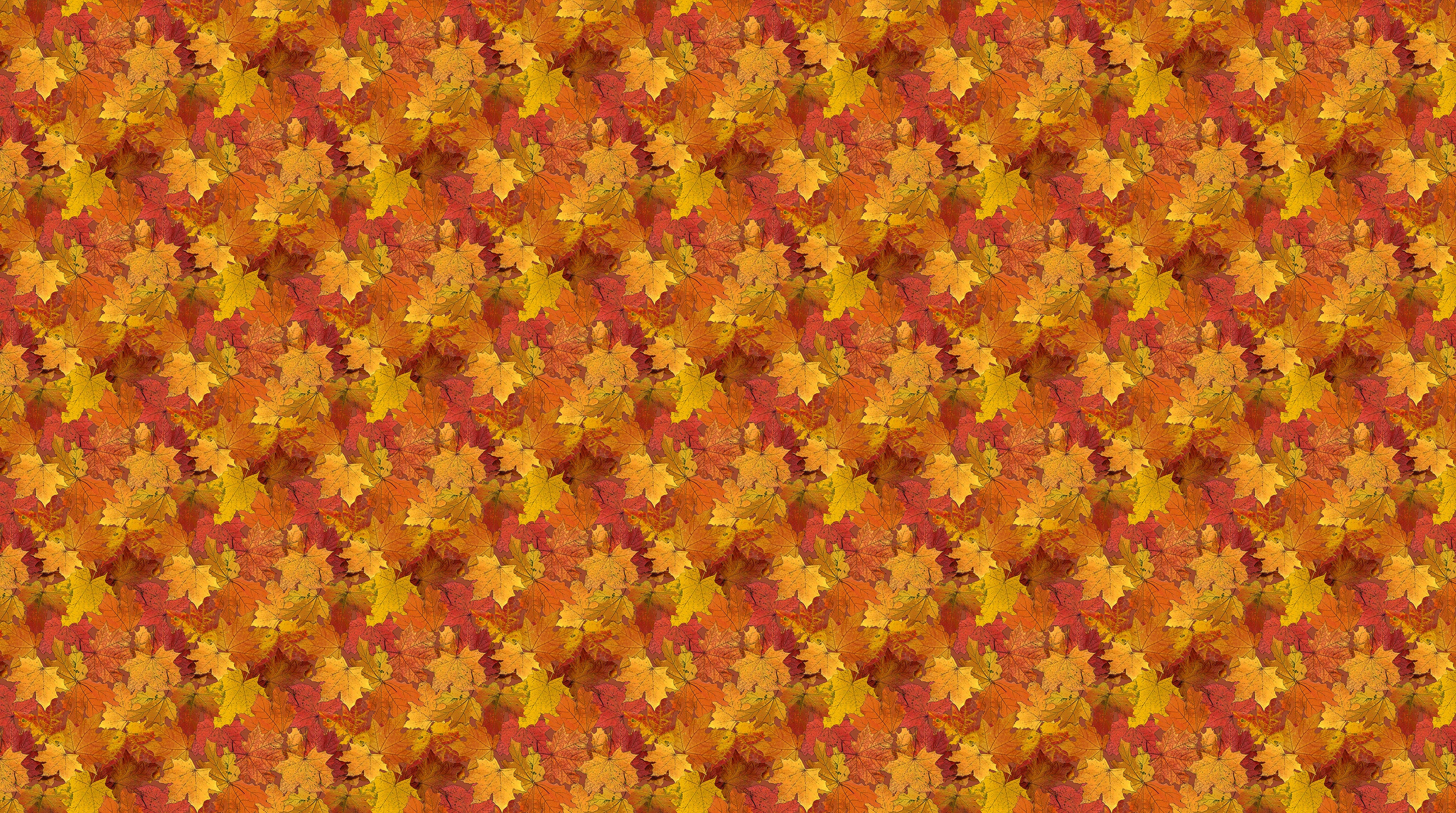 Night Owl | Leaves Orange Multi by Deborah Edwards for Northcott | DP28851-56