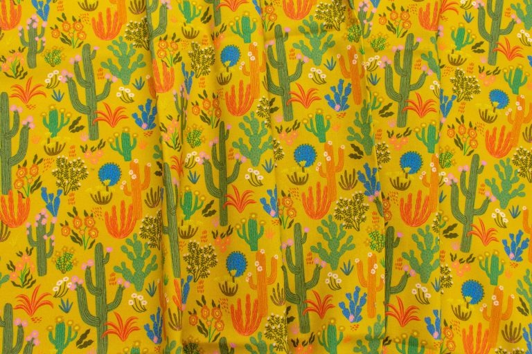 Desert Moon | Desert Flora by Bethan Janine for Dashwood Studio | DMOON2583