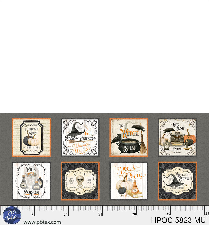 Hocus Pocus | Half Yard Blocks Panel by Deane Beesley for P&B Textiles | HPOC5823-MU