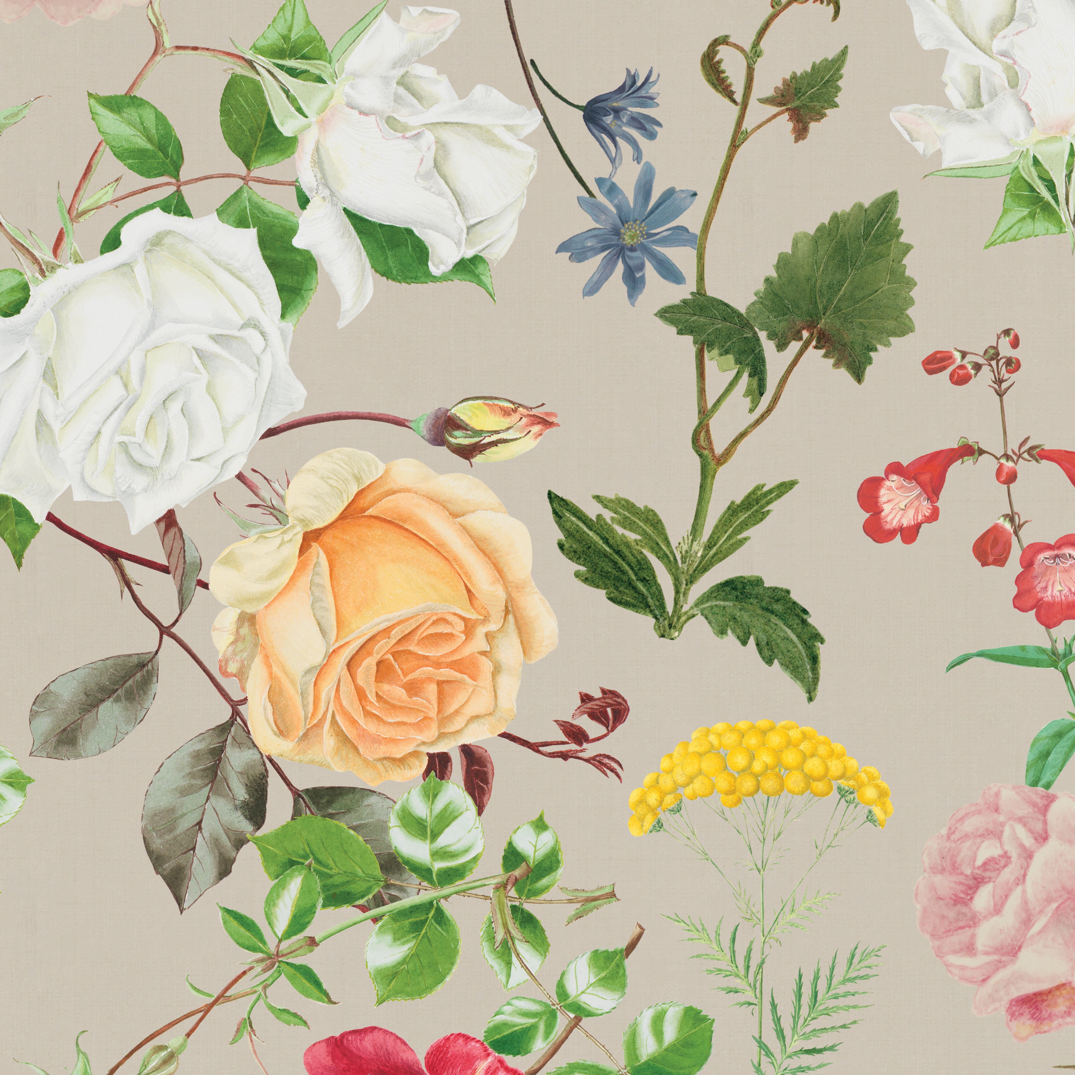 Floral Gardens | Linen Natural by Royal Horticultural Society for Riley Blake | 58/60" Linen/Cotton Blend