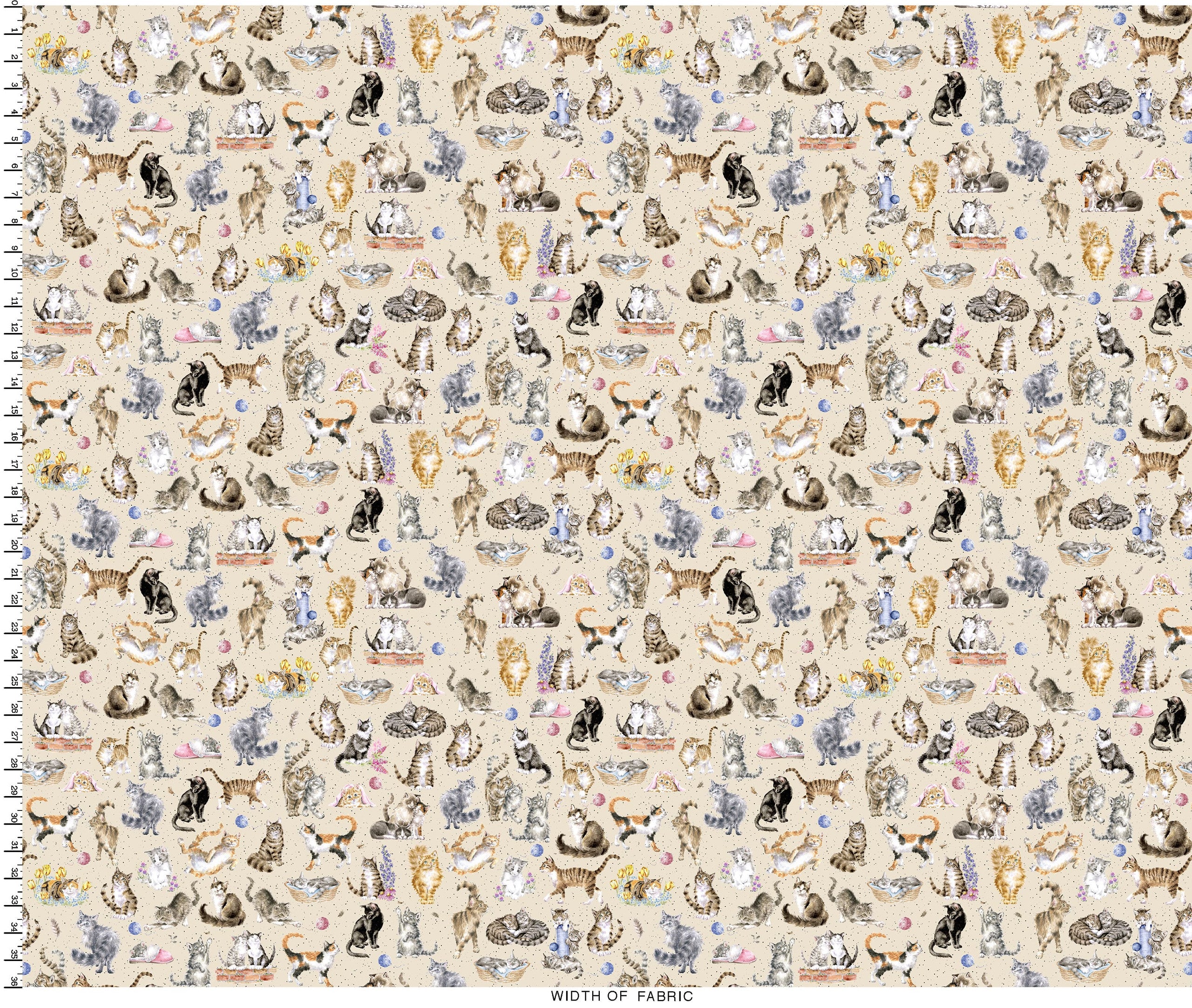 Whiskers & Paws | Directional Cats - Cream by Hannah Dale for Maywood Studio | MAS10414-E
