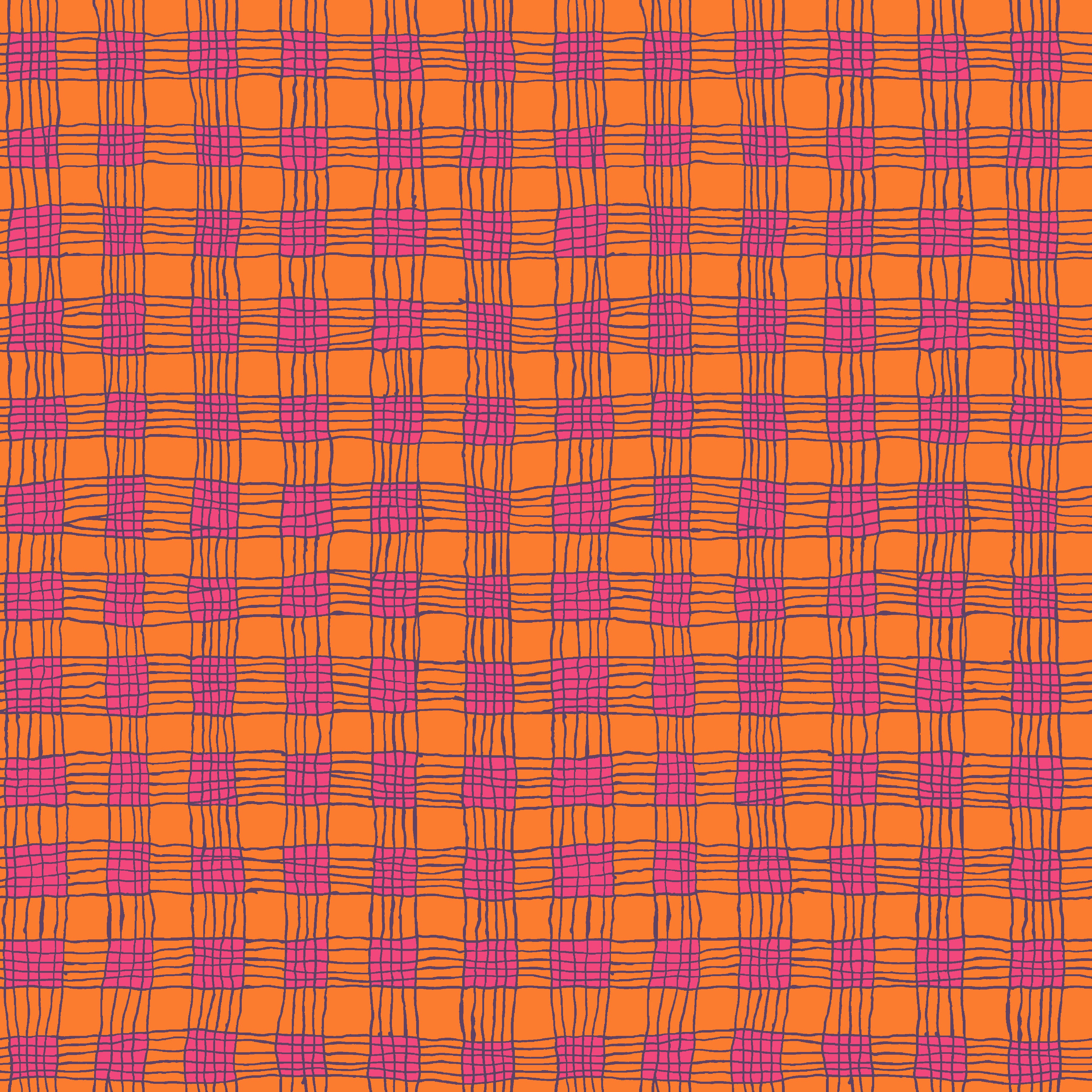 February 2025 | Gingham - Coral by Kaffe Fassett Collective for Free Spirit | PWBM089.CORAL
