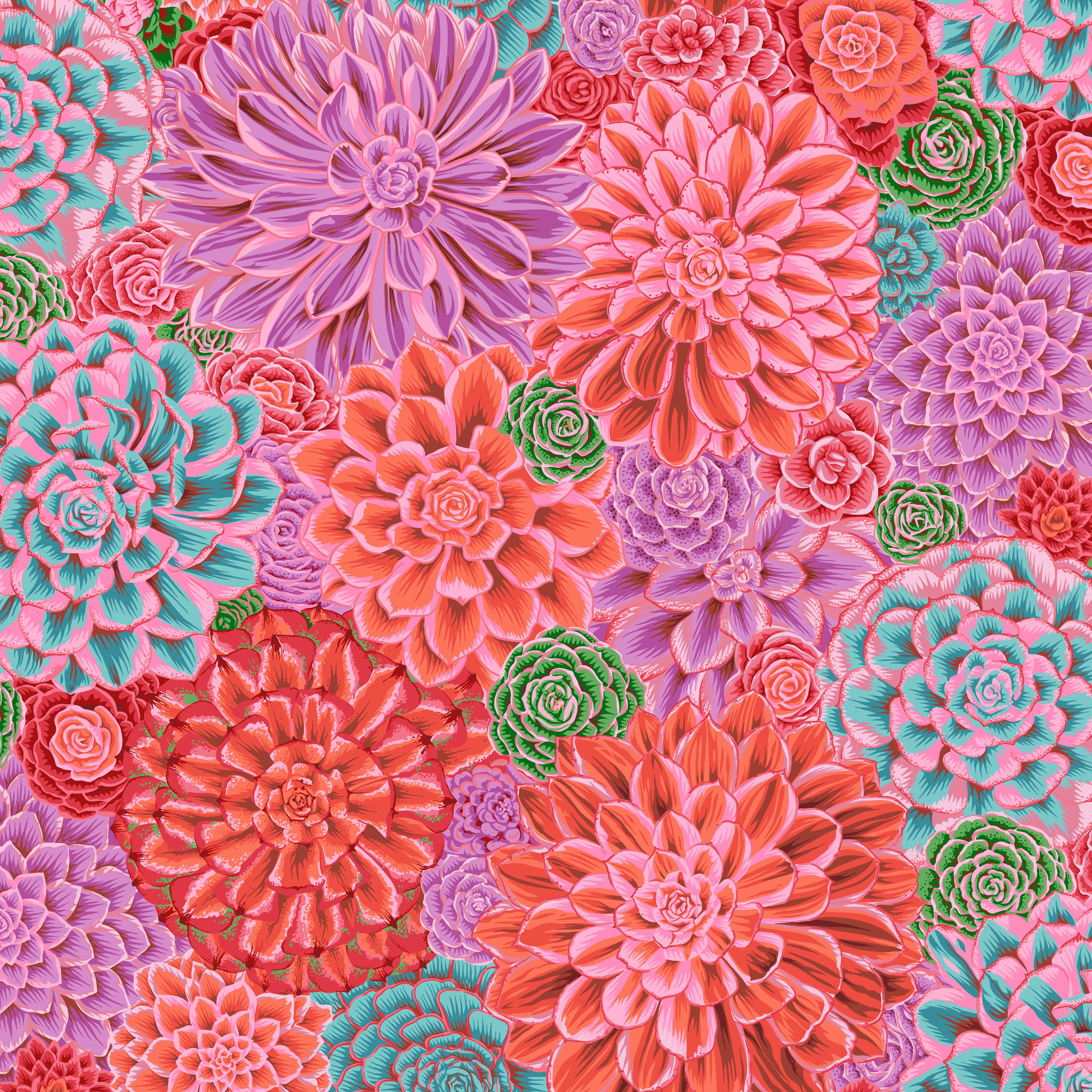 February 2025 | House Leeks - Pink by Kaffe Fassett Collective for Free Spirit | PWPJ113.PINK