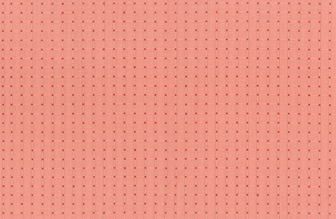 Garden Variety | Seeds in Poppy - Yarn-Dyed Woven by Anna Maria Textiles | WAMT100-23C