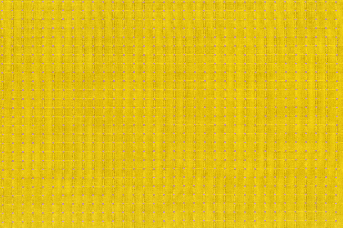 Garden Variety | Seeds in Zinnia - Yarn-Dyed Woven by Anna Maria Textiles | WAMT100-54V