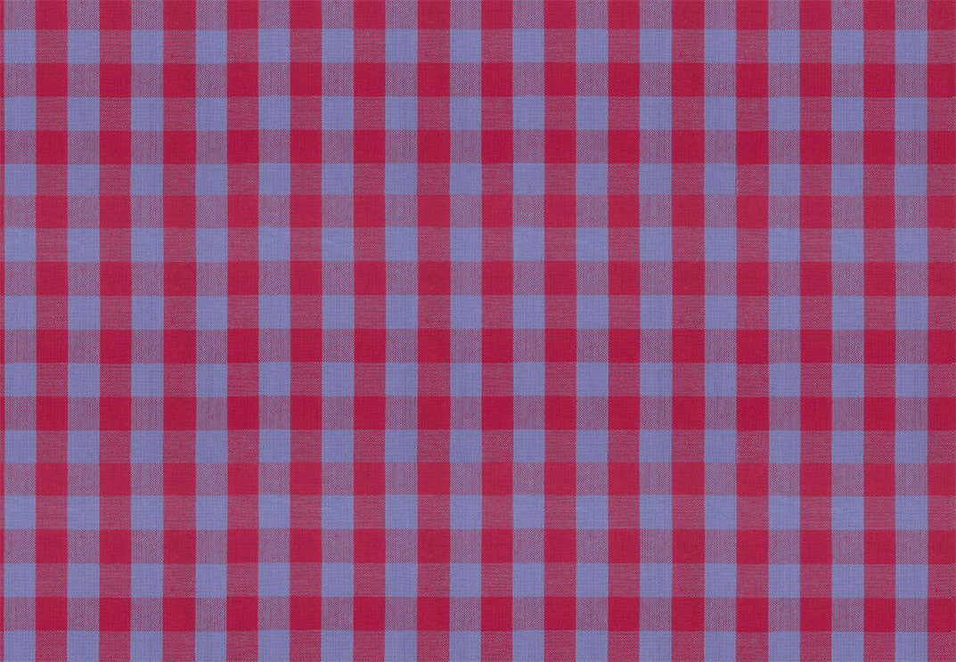 Garden Variety | Common Ground in Jester - Yarn-Dyed Woven by Anna Maria Textiles | WAMT101-45C