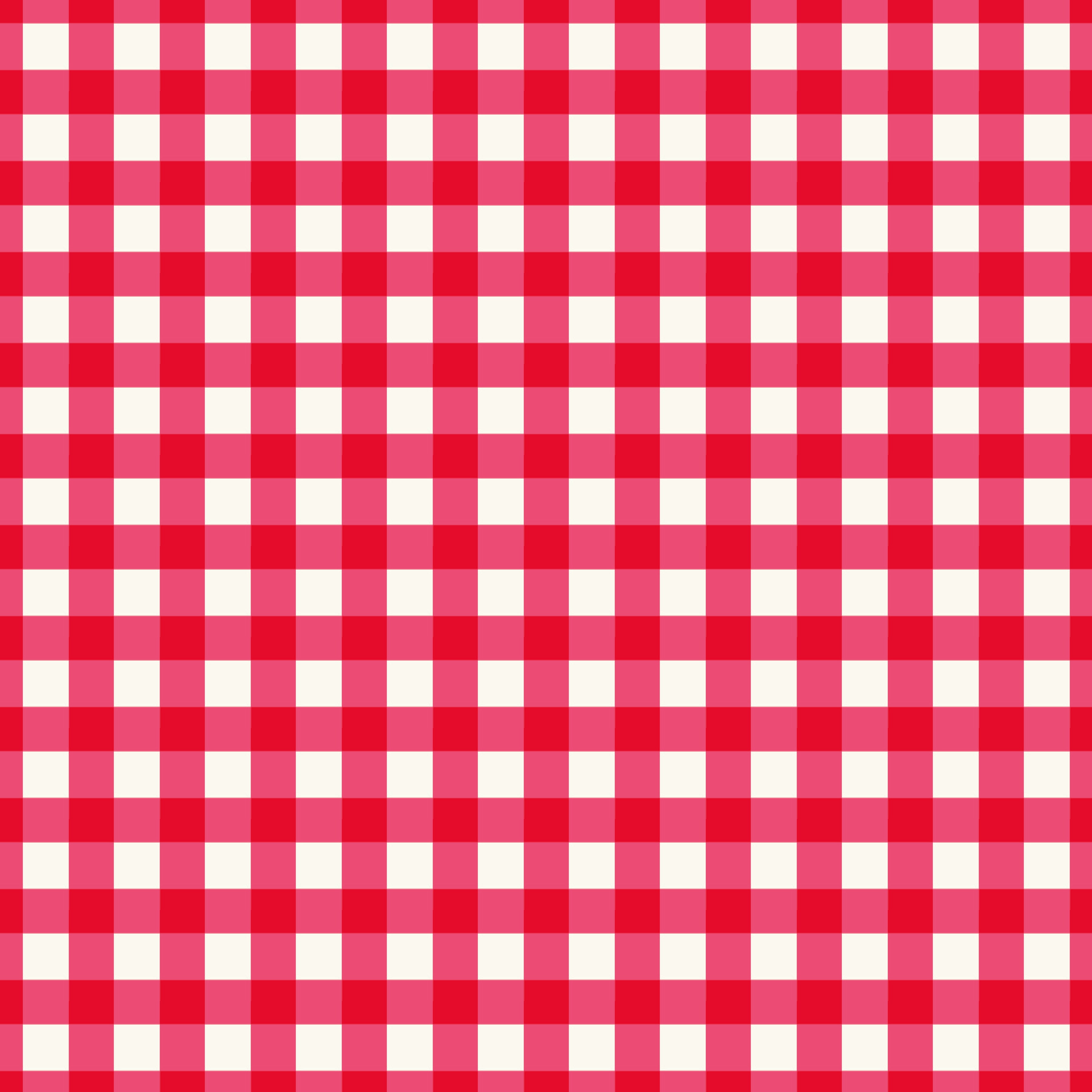 Picnic Florals | Gingham Red 108" Wide Backing by My Mind's Eye for Riley Blake | WB14618-RED