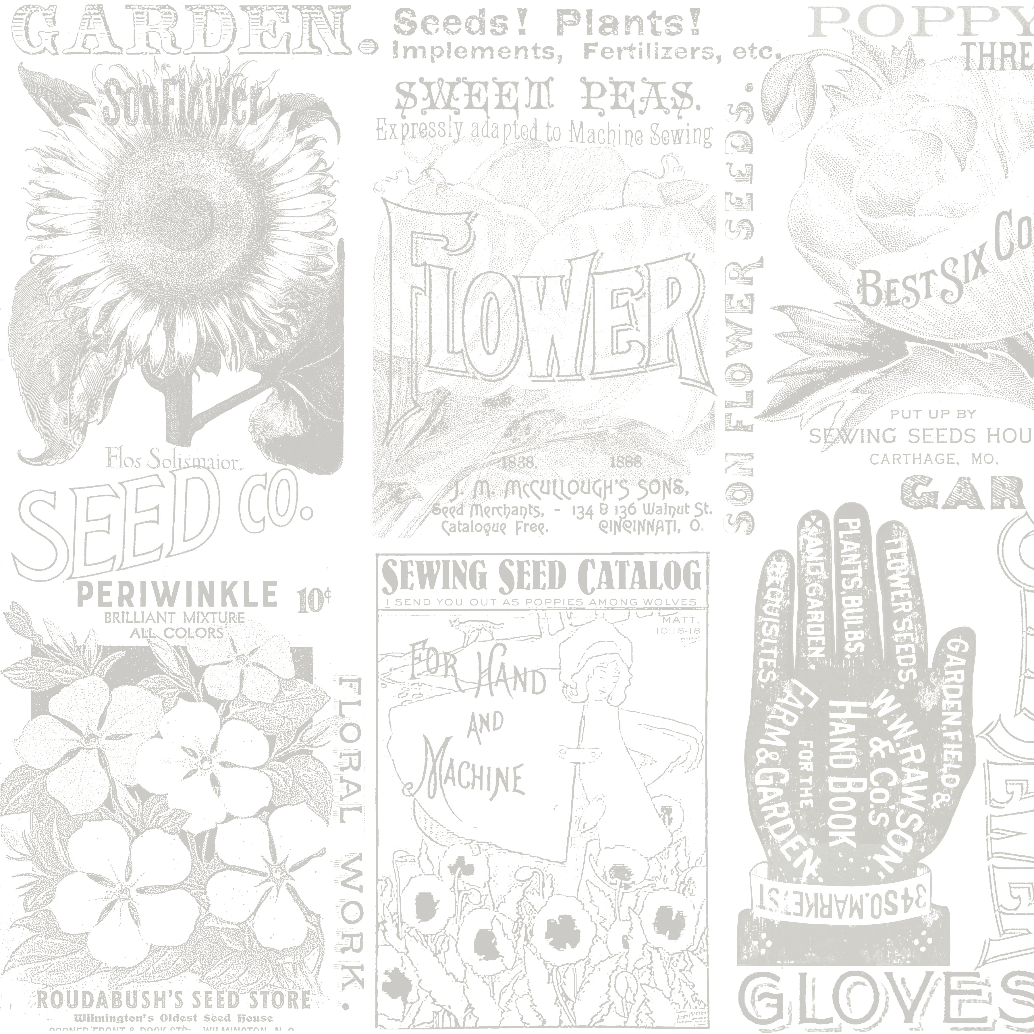 Sewing Seeds III | Garden Blender - 108" Quilt Back by Lisa Audit for Riley Blake | WB15696-GRAY