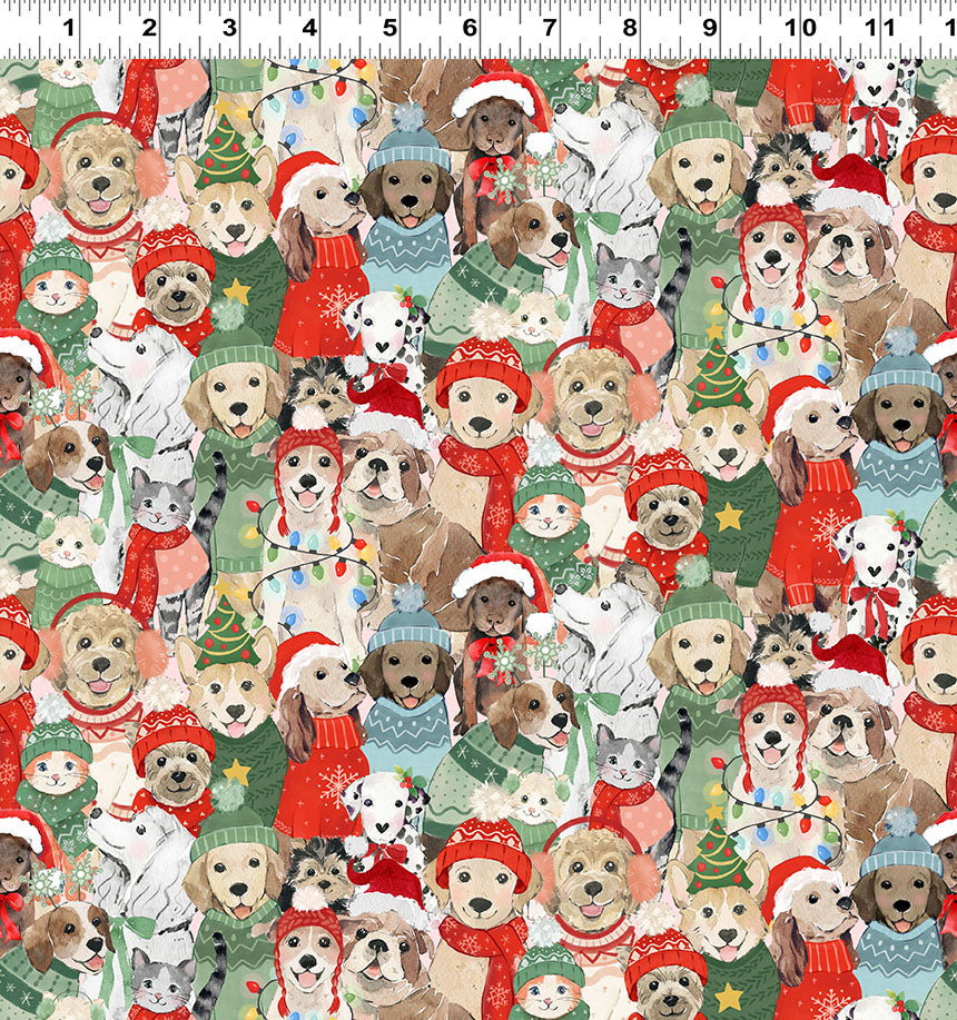 Santa Paws | Digital Posing Pets Multi by Heatherlee Chan for Clothworks | Y4428-55