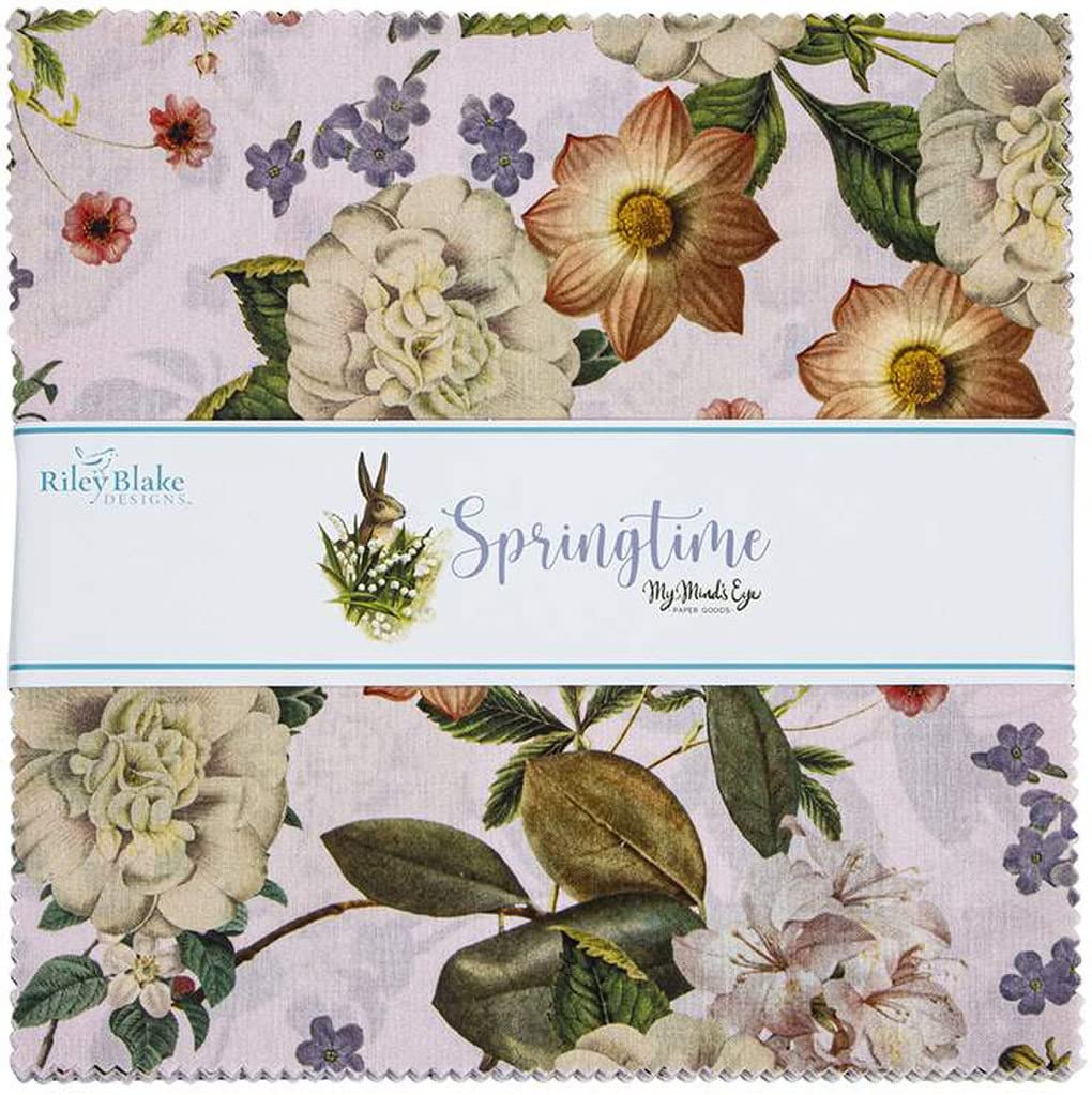 My Mind's Eye Springtime 10" Stacker 42 10-inch Squares Layer Cake Riley Blake Designs 10-12810-42