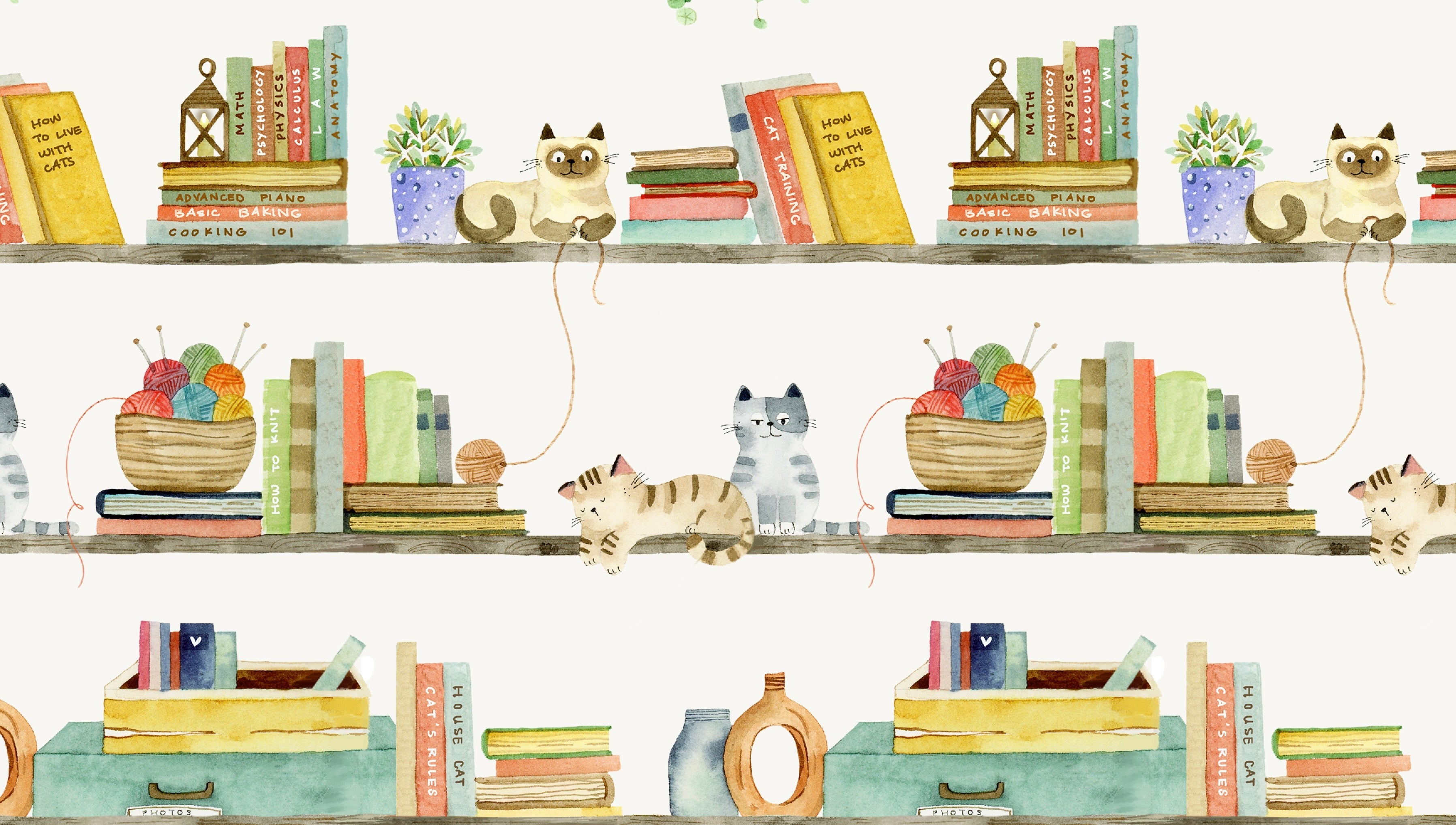 Cats Around Town | Sue Miano