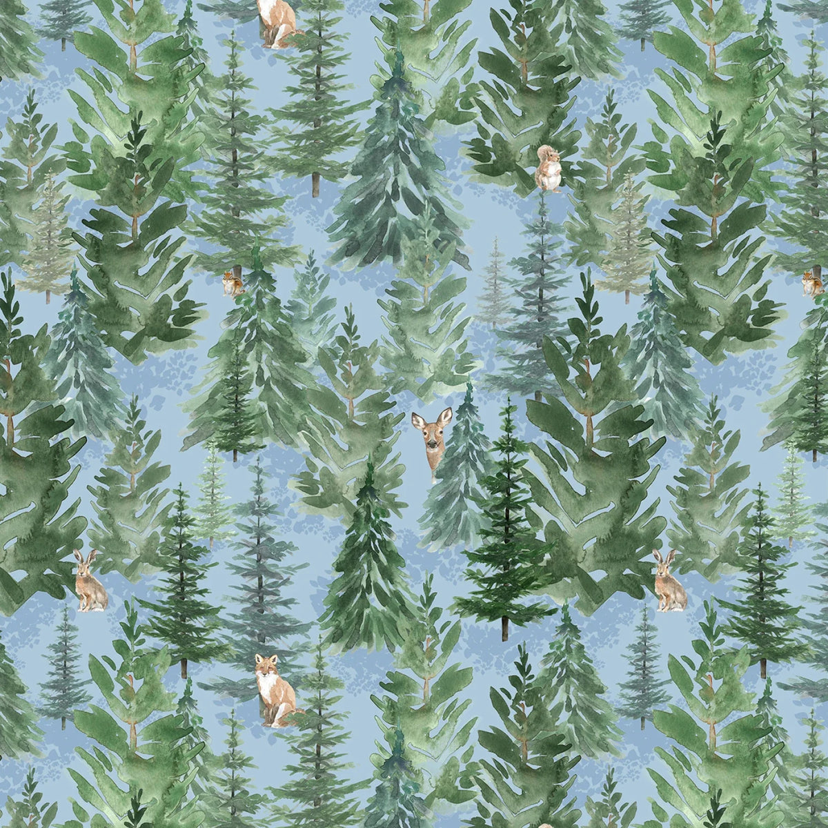 Woodland Way | Beth Albert