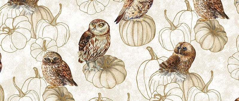Night Owl | Deborah Edwards