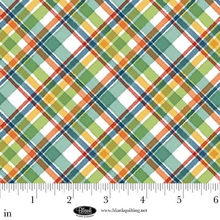 Cat Hair Don't Care | Plaid - Multi by Nidhi Wadhwa for Blank Quilting | 4424-16