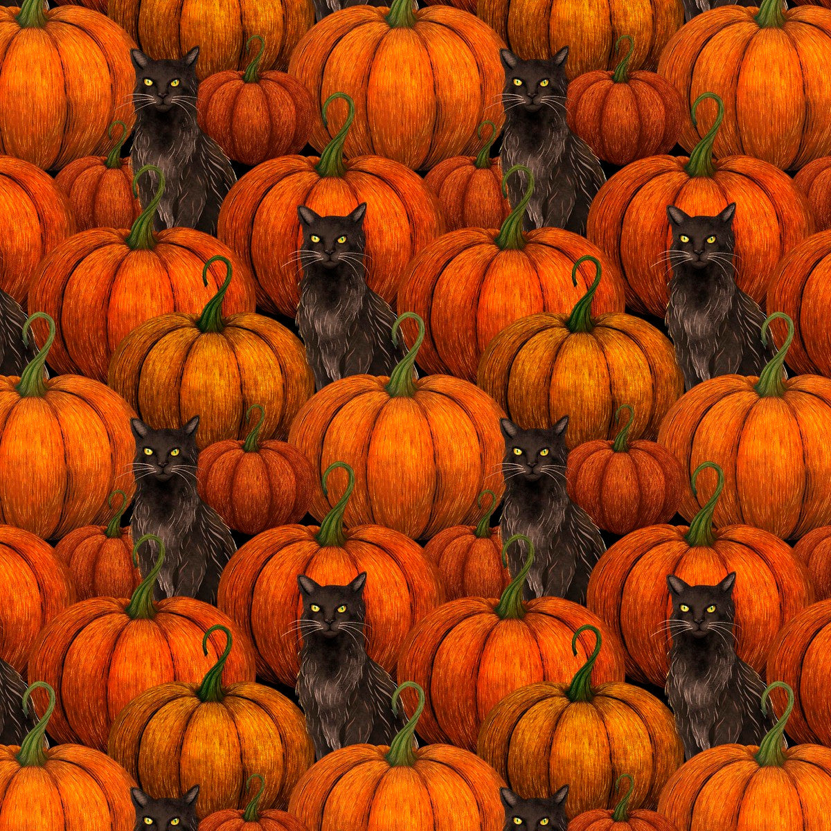 Harvest Haunt | Pumpkins and Black Cats by Episodic Drawing for Blank Quilting | 4813-33