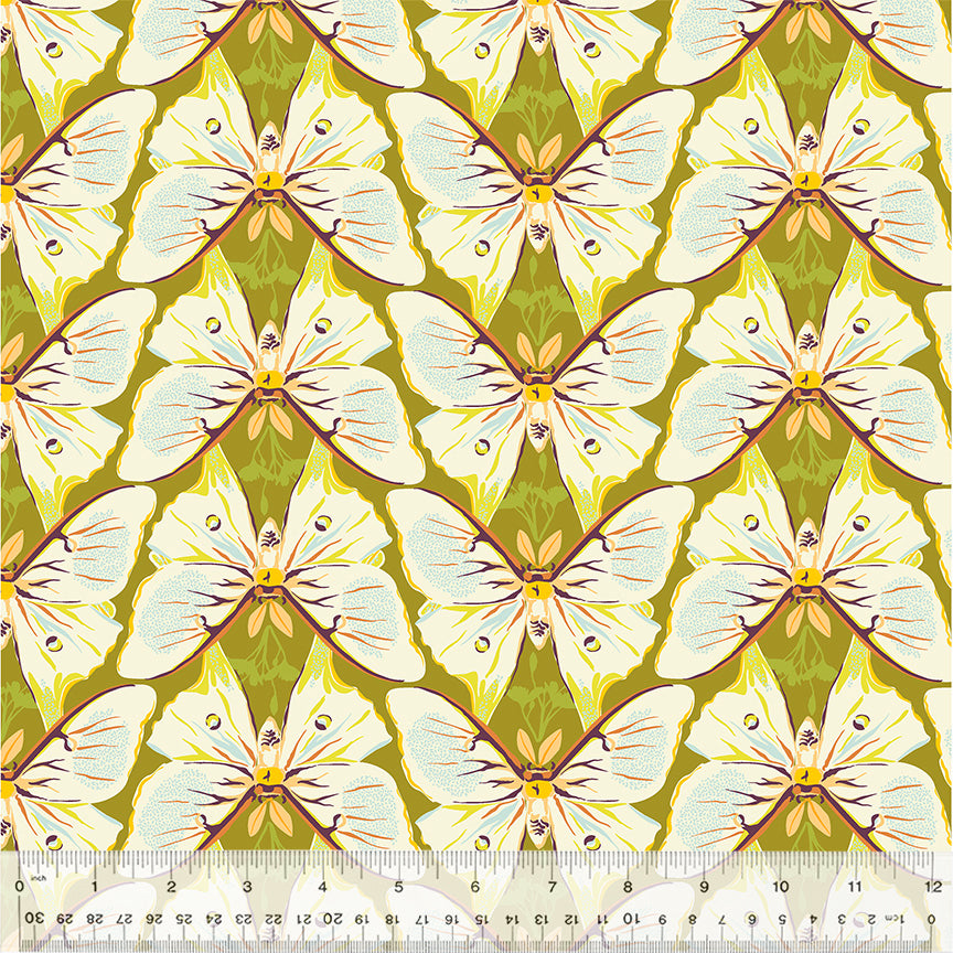 Insectarium | Luna Spring by Tamara Kate for Windham Fabrics | 54653-5