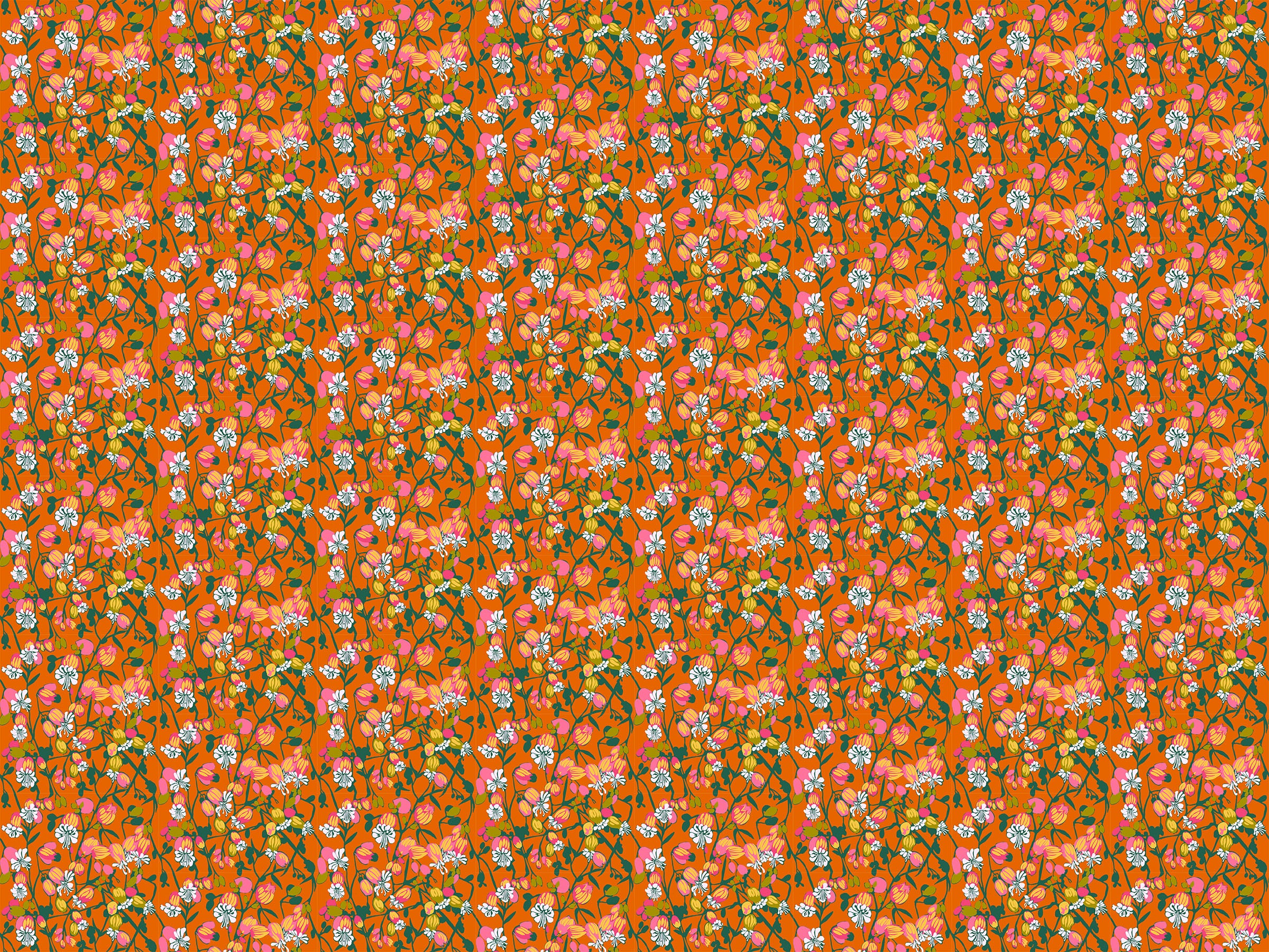 Jumpstart | Silene - Tangerine by Anna Maria for Anna Maria Textiles | AMT127-59L